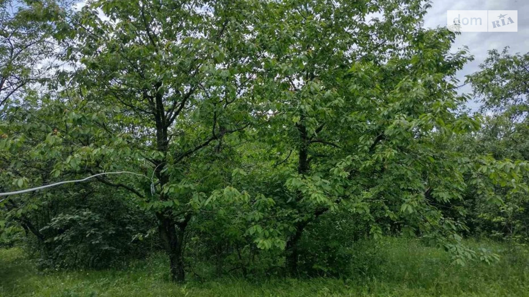 Продається одноповерховий будинок 40 кв. м з ділянкою, цена: 3000 $ - фото 3