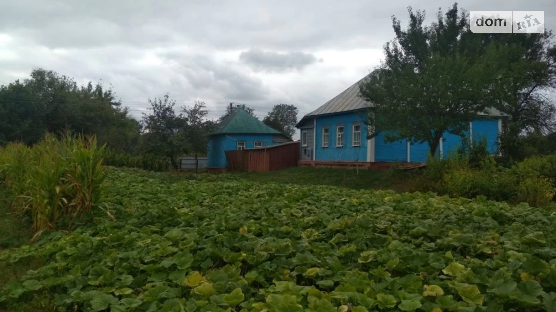 Продается одноэтажный дом 63 кв. м с участком, цена: 120000 грн - фото 4