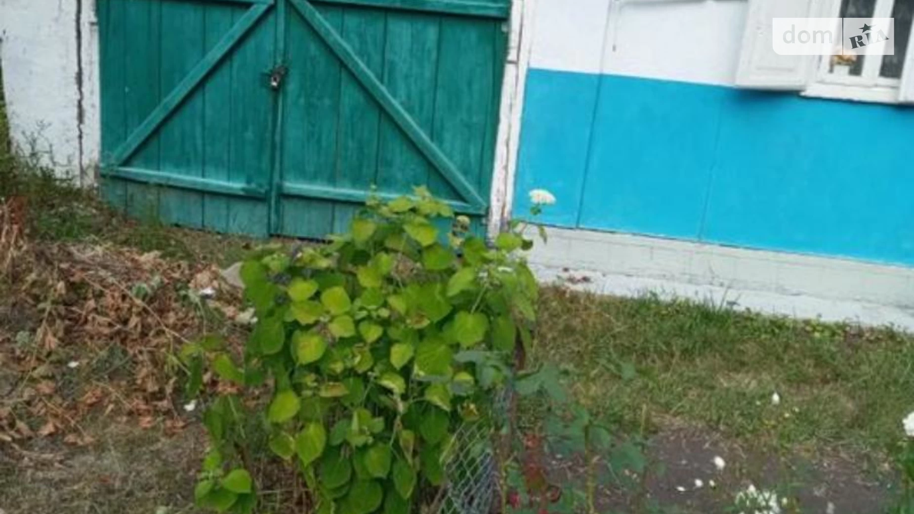 Продається одноповерховий будинок 45 кв. м з каміном, цена: 3800 $ - фото 4