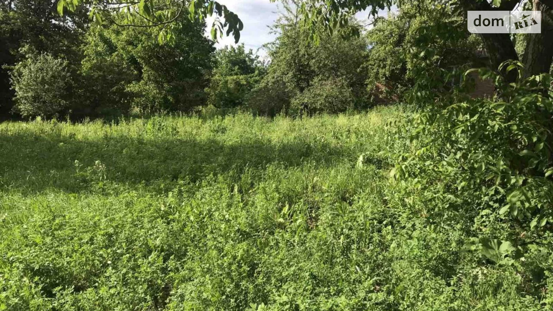 ул. Жолонка Винницкие Хутора, цена: 42000 $ - фото 3