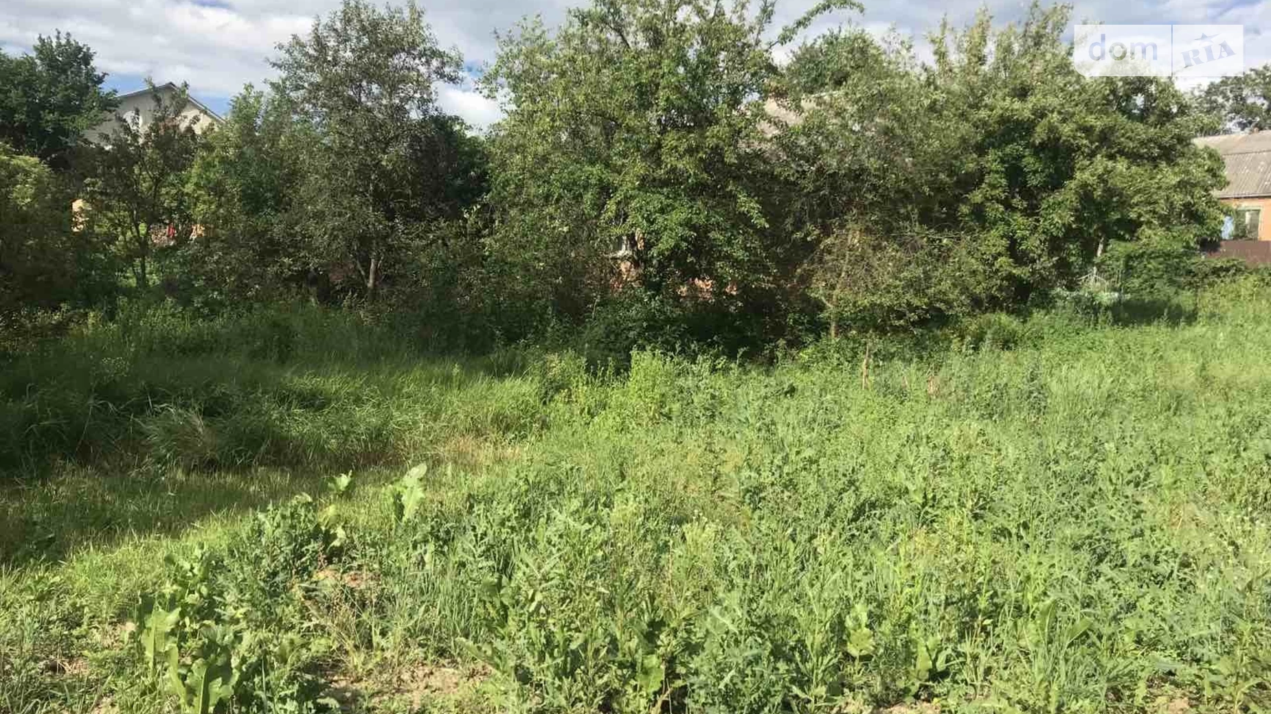 ул. Жолонка Винницкие Хутора, цена: 42000 $ - фото 4