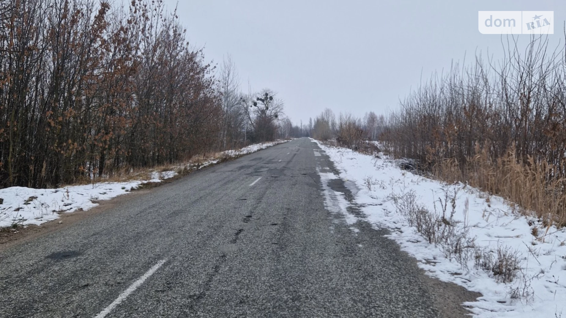 Продається земельна ділянка 50 соток у  області, цена: 200000 грн - фото 2