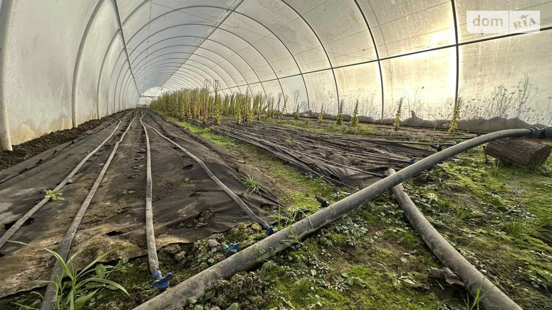 Продається земельна ділянка 30 соток у Івано-Франківській області, цена: 45000 $ - фото 2