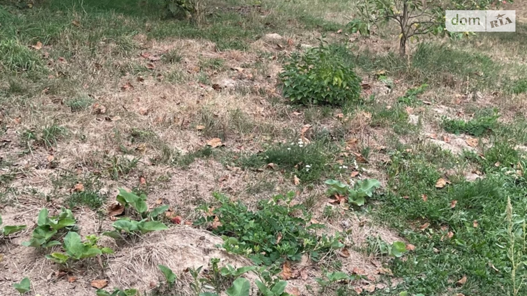Продається земельна ділянка 14 соток у Вінницькій області, цена: 26000 $ - фото 3