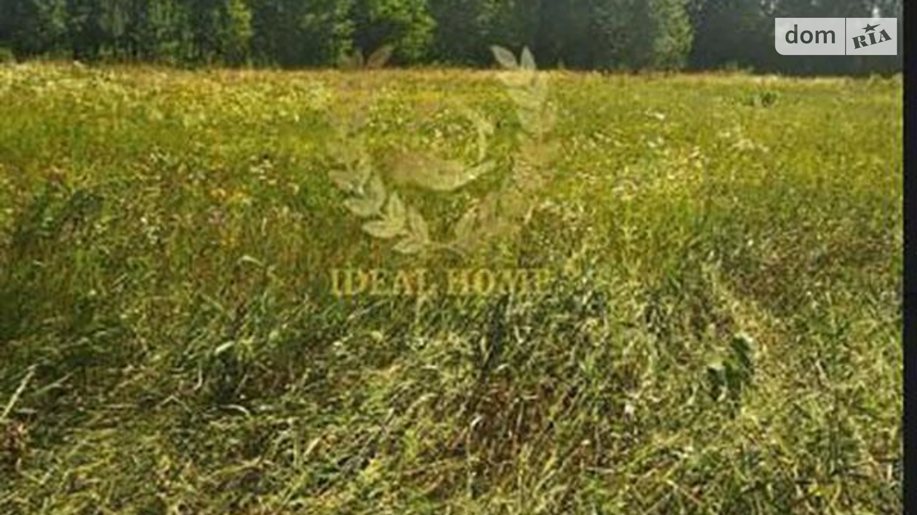 вул. Набережна, 17 Соснівка (Макарів), цена: 7300 $ - фото 5