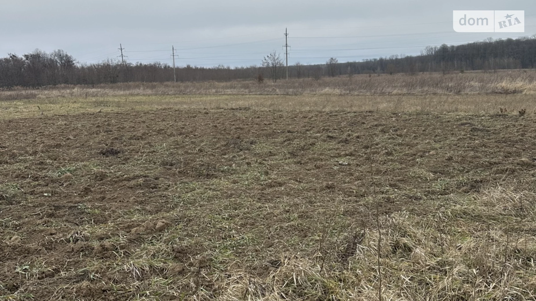 Зарванці, цена: 17000 $ - фото 2