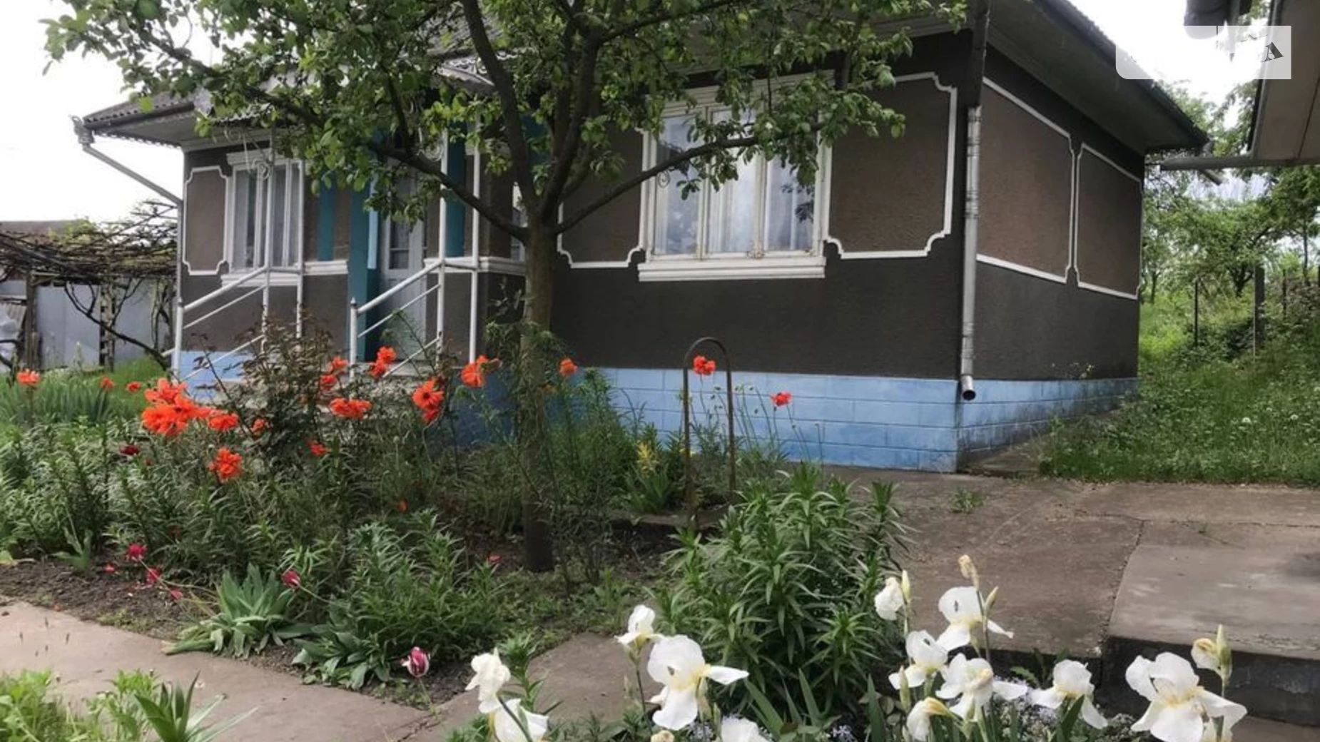 Продается одноэтажный дом 200 кв. м с подвалом, цена: 27000 $ - фото 2
