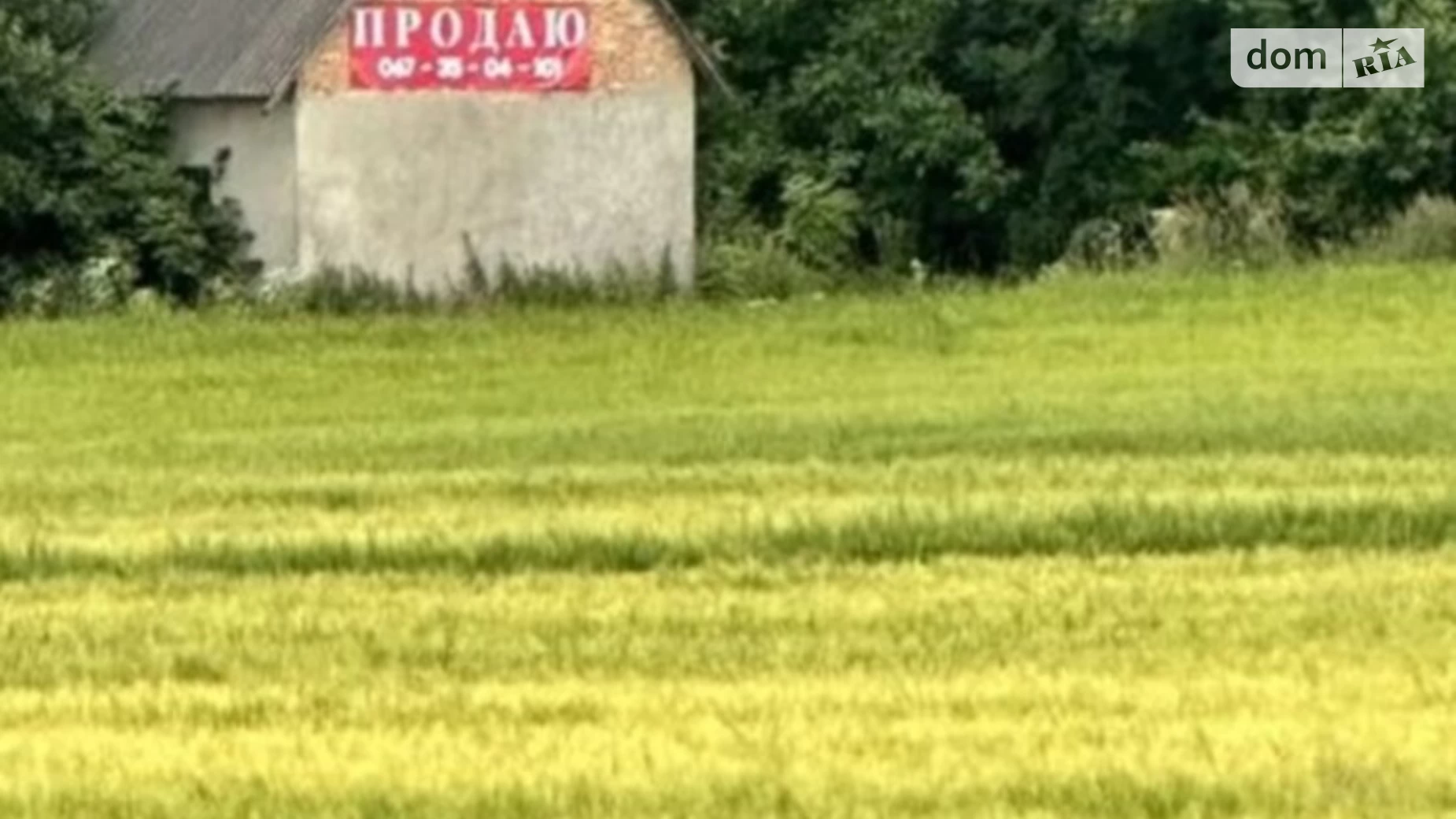 вул. Івана Франка Лідихів, цена: 620000 грн - фото 3