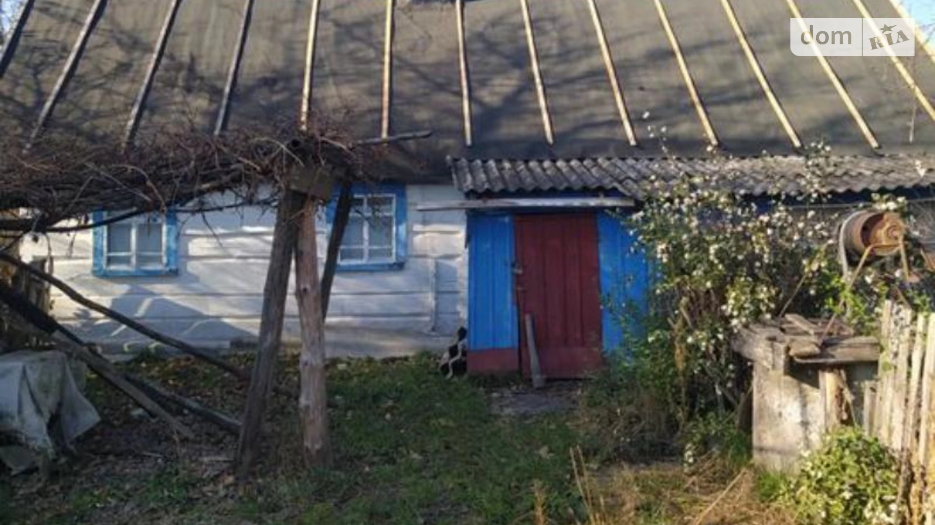 Продається одноповерховий будинок 48.1 кв. м з садом, цена: 1500 $ - фото 4
