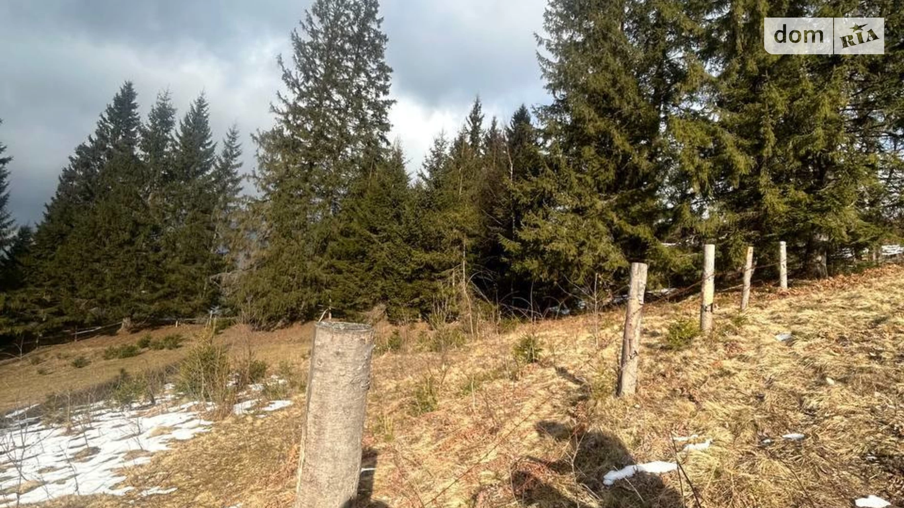Продається земельна ділянка 31 соток у Івано-Франківській області, цена: 23250 $ - фото 4