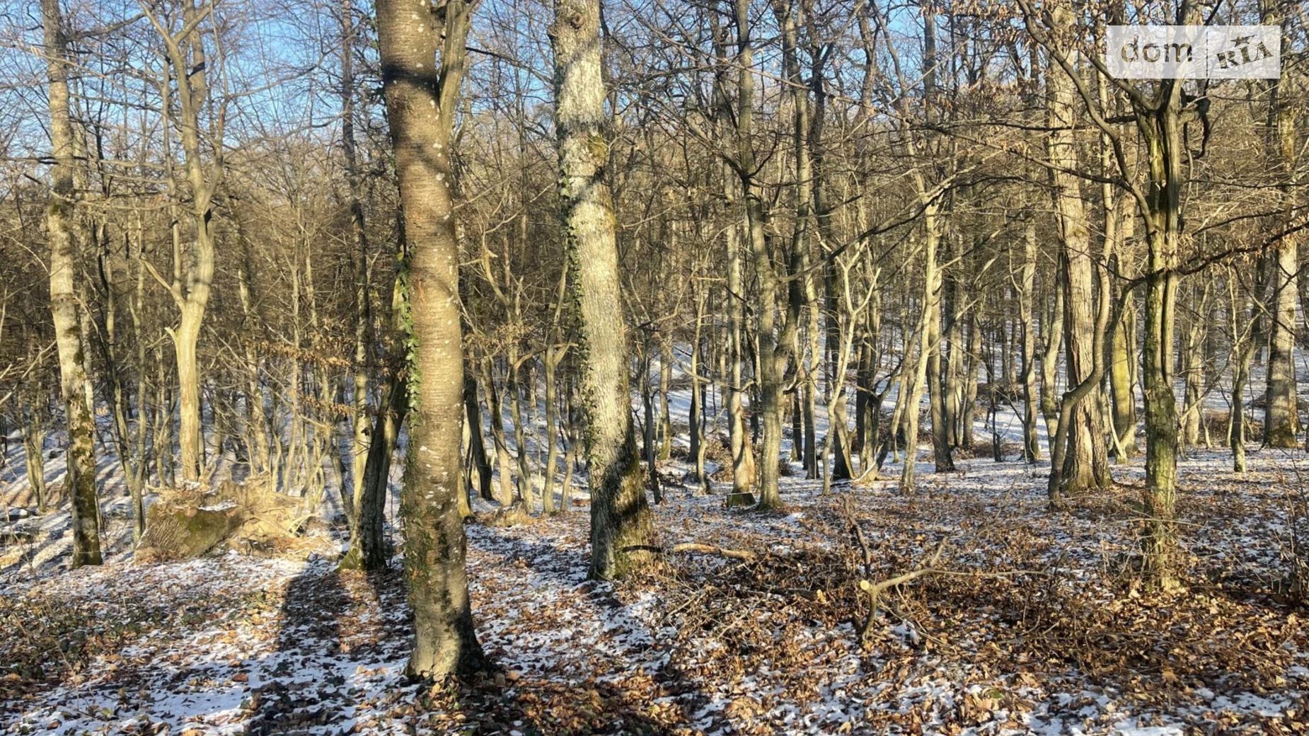 Продается земельный участок 0.0889 соток в Закарпатской области, цена: 36000 $ - фото 5