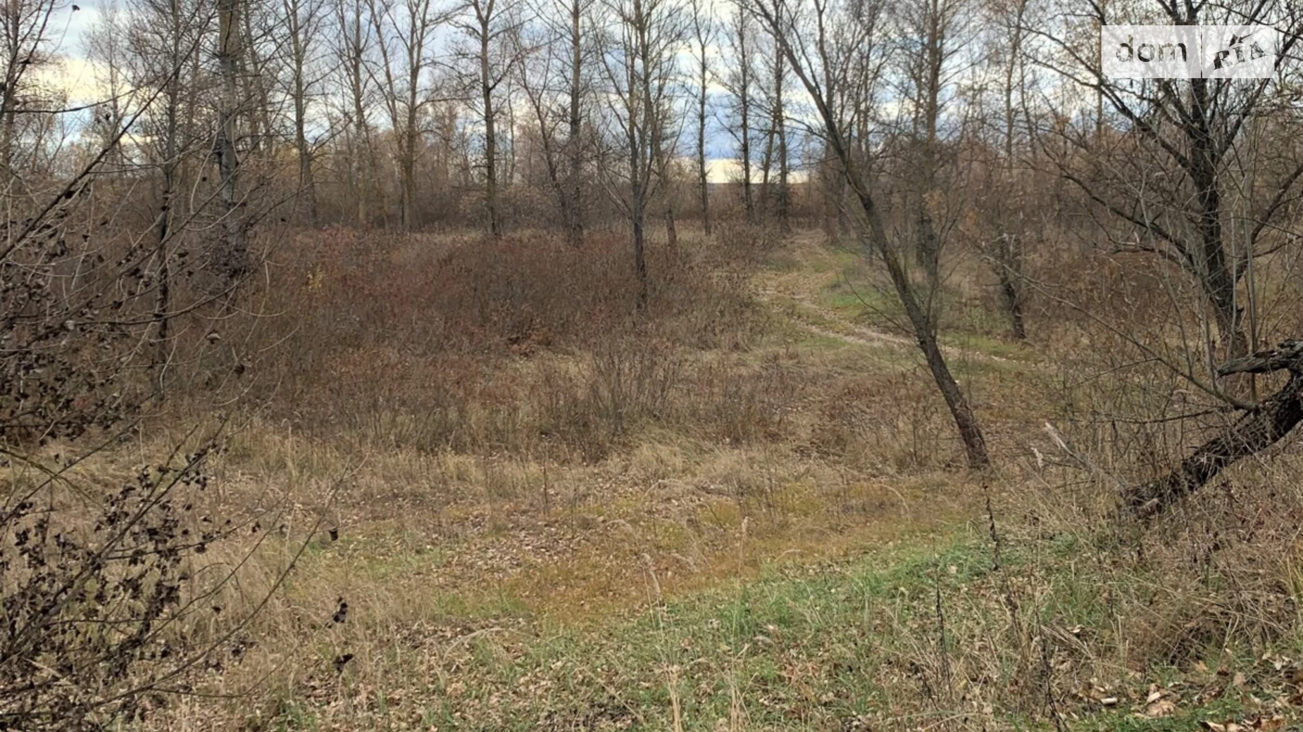 вул. Набережно Лугова Соболівка, цена: 7200 $ - фото 4