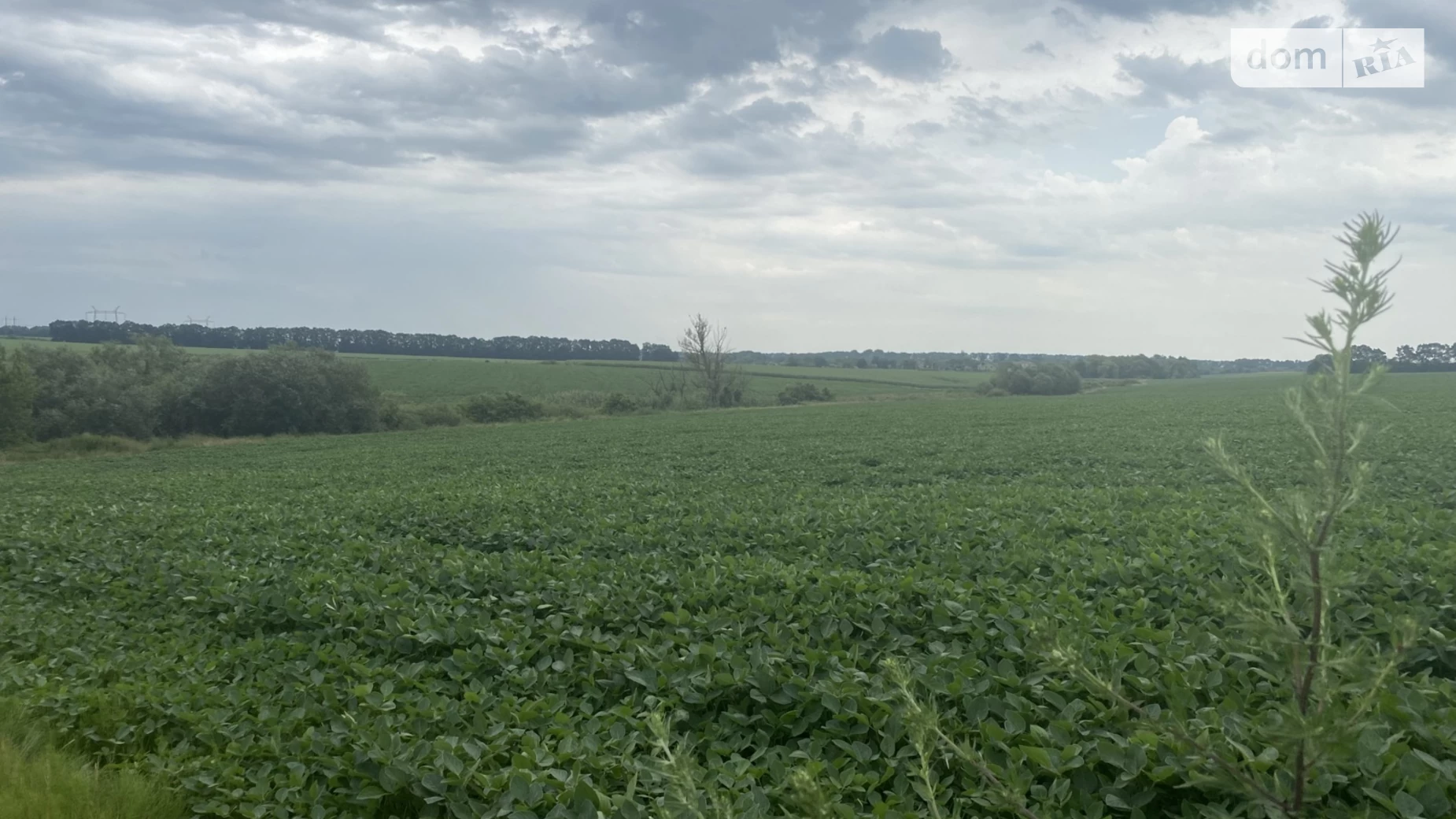 Продається земельна ділянка 1.9679 соток у Вінницькій області, цена: 30000 $ - фото 5