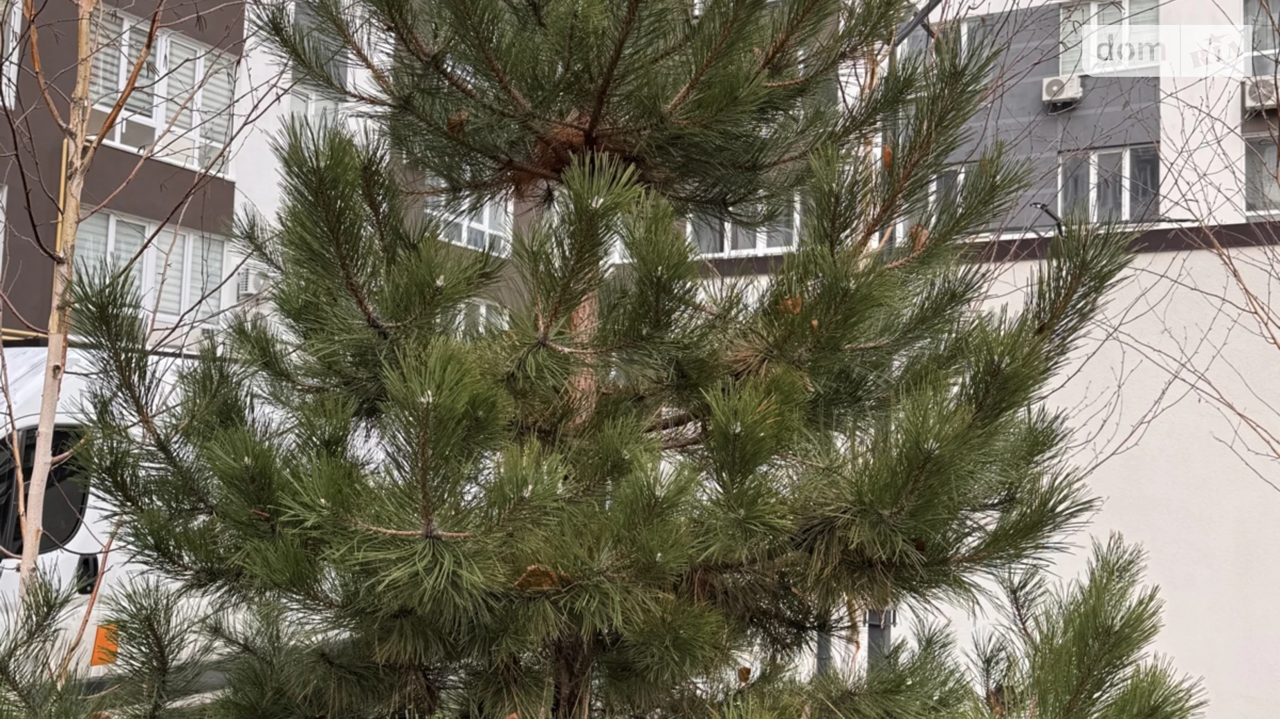 Продається 3-кімнатна квартира 77 кв. м у Ірпені, вул. Виговського(Суворова), 2Д/2 - фото 2