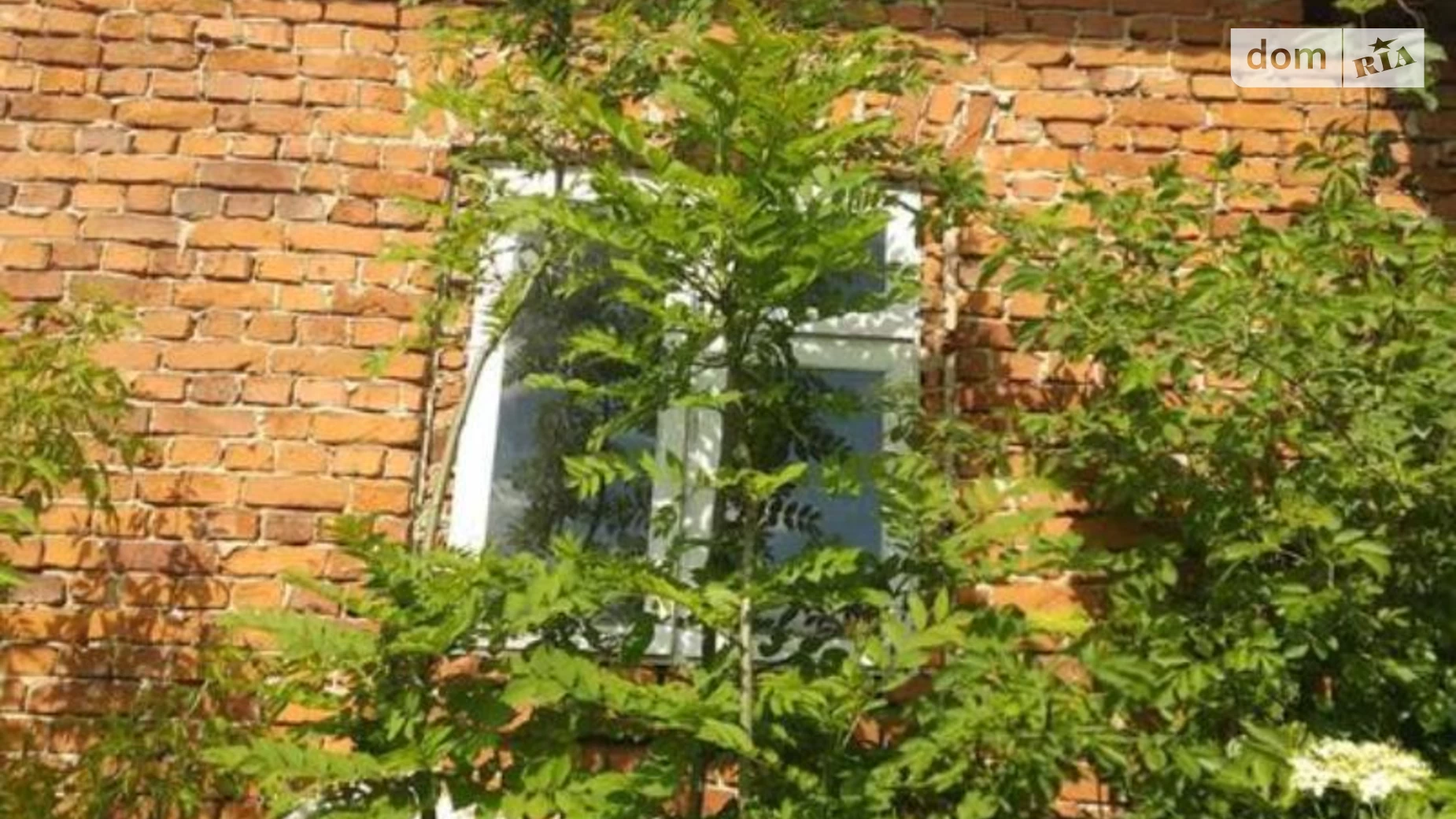 Продается одноэтажный дом 60 кв. м с подвалом, цена: 5999 $ - фото 5