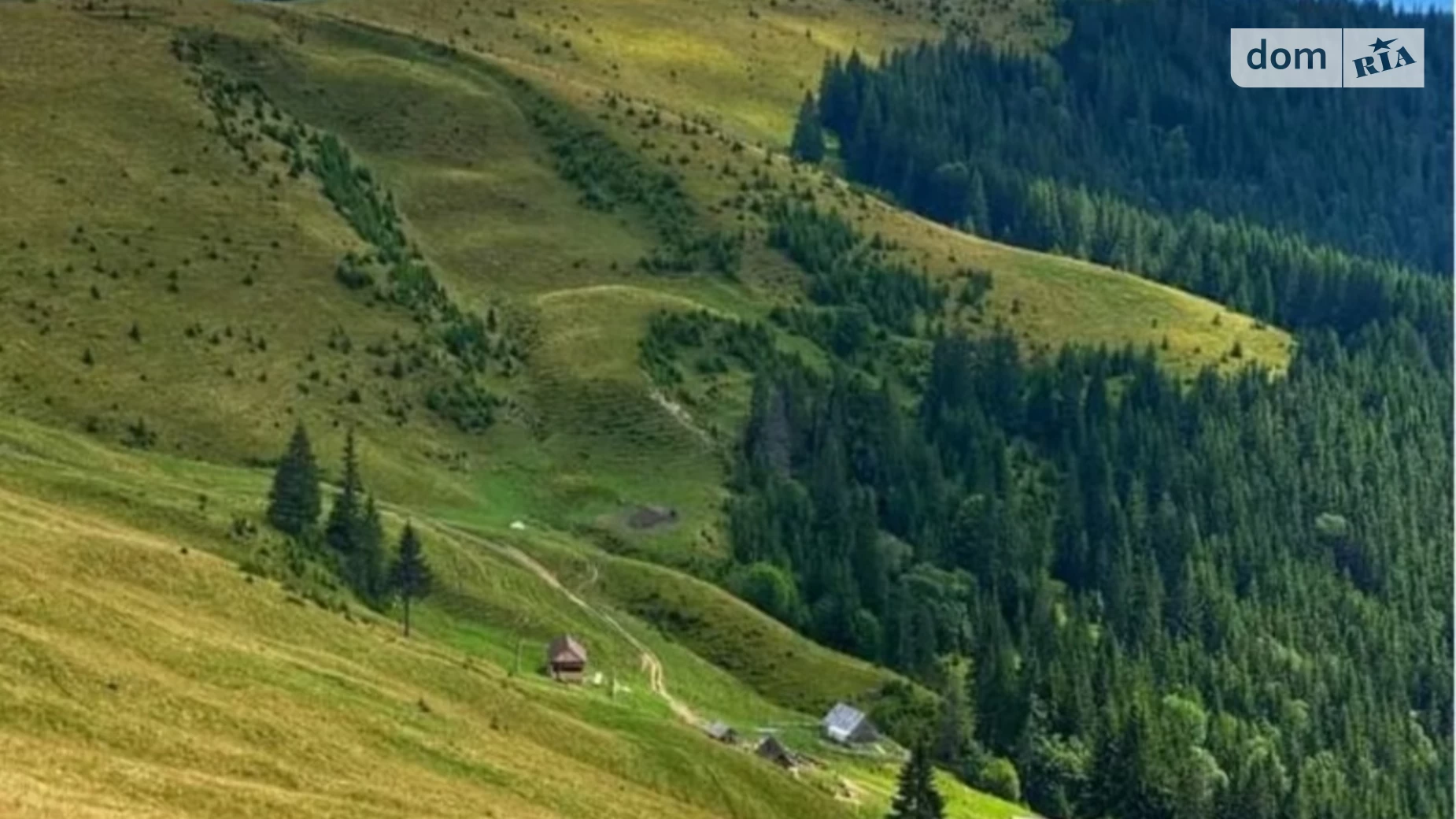 ул. Центральная Черная Тиса, цена: 36000 $ - фото 2