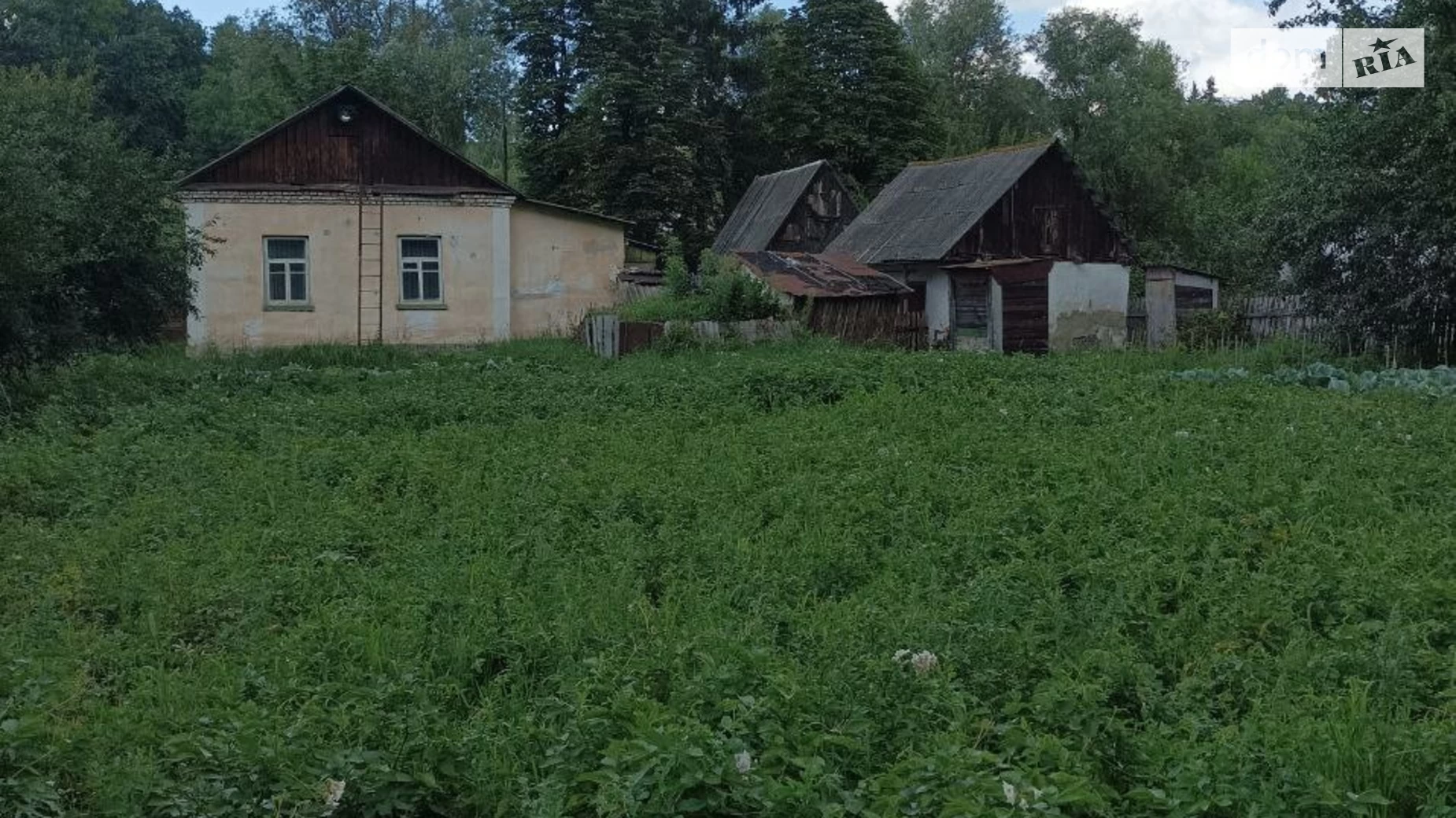 Продается одноэтажный дом 66 кв. м с мебелью, цена: 6000 $ - фото 4