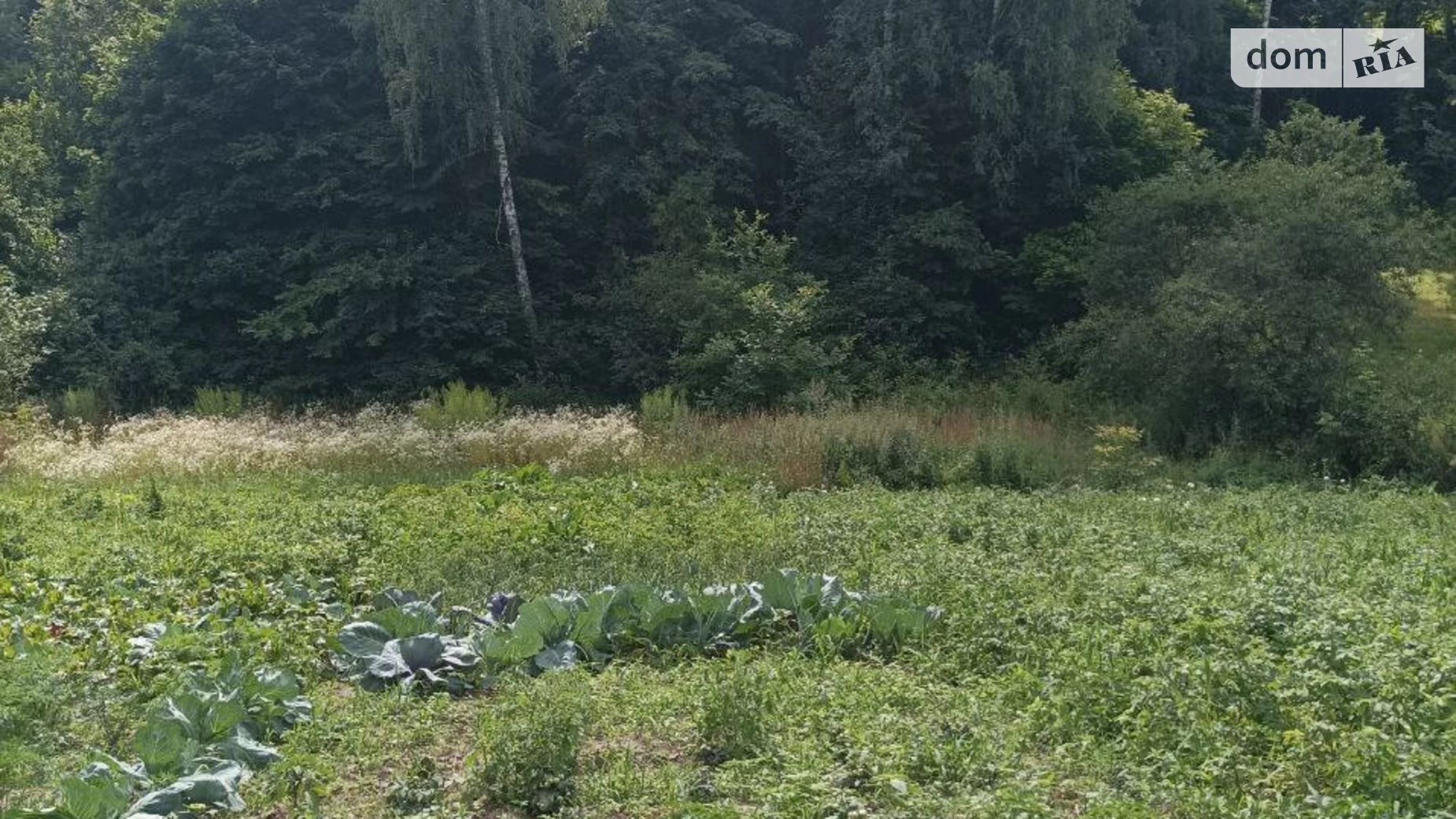 Продается одноэтажный дом 66 кв. м с мебелью, цена: 6000 $ - фото 5