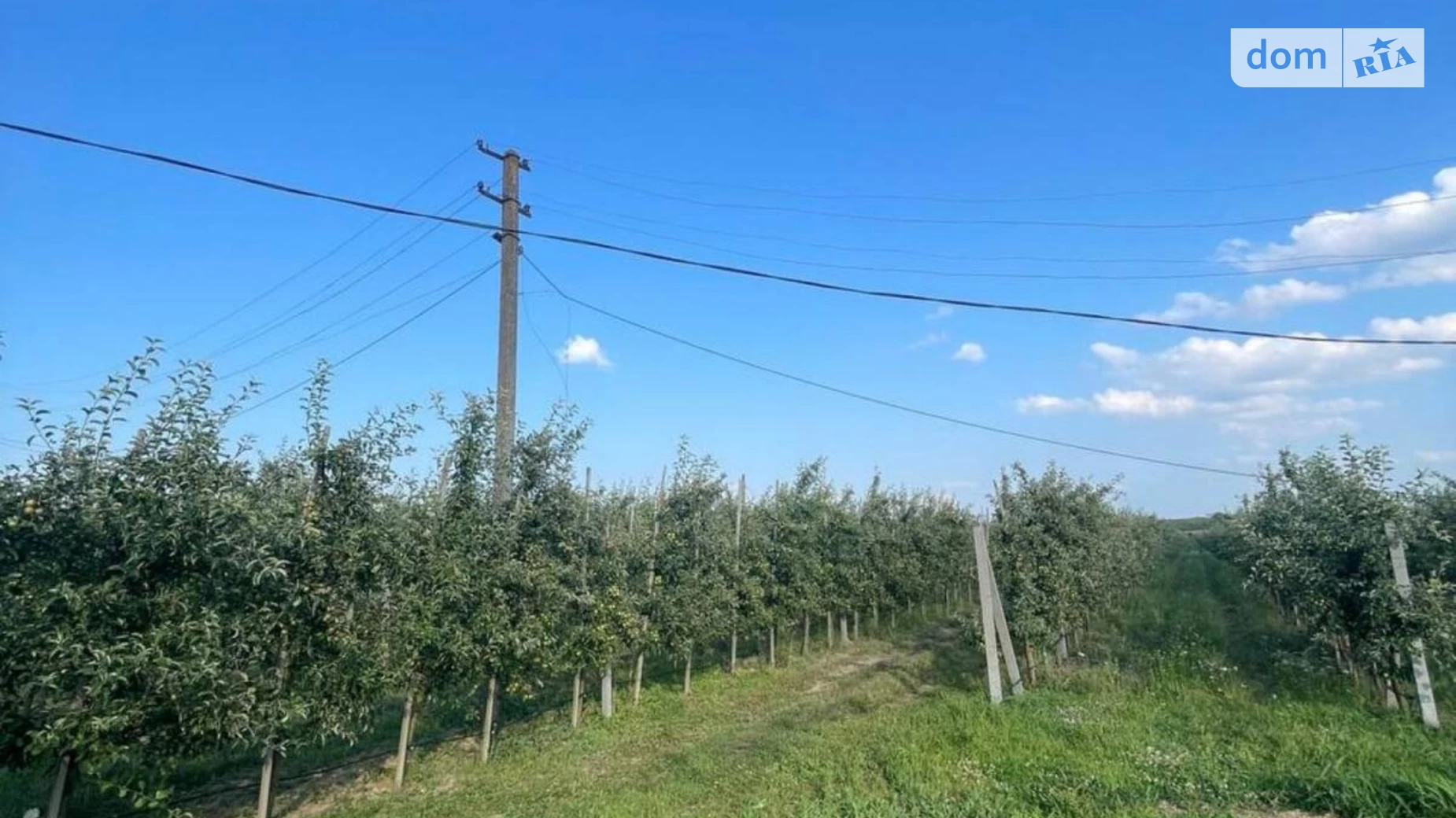Віньківці, цена: 90000 $ - фото 5