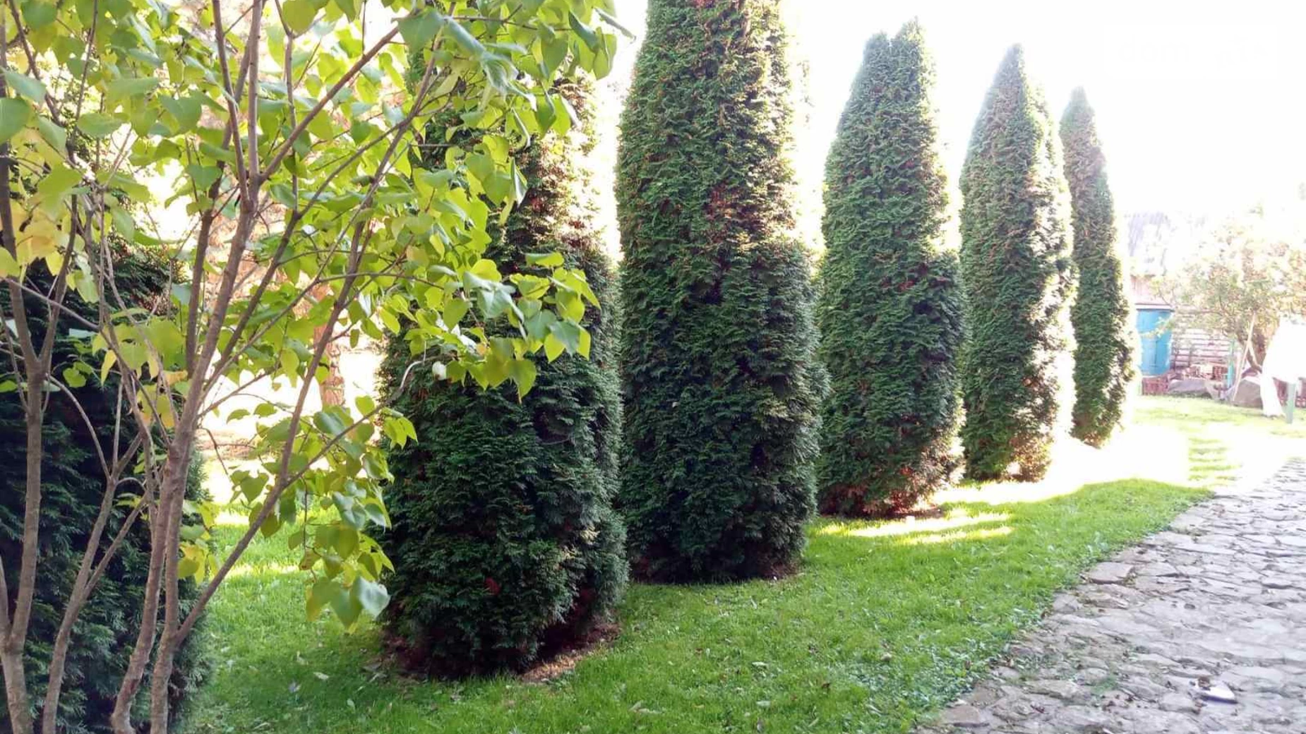 Продається одноповерховий будинок 72.3 кв. м з банею/сауною, цена: 33800 $ - фото 3