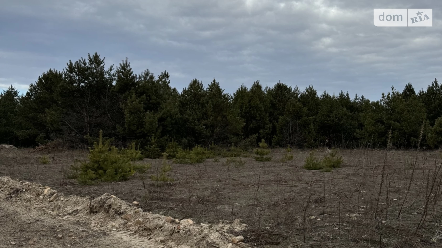 вул. Соснова Северинівка (Макарів), цена: 143000 $ - фото 4