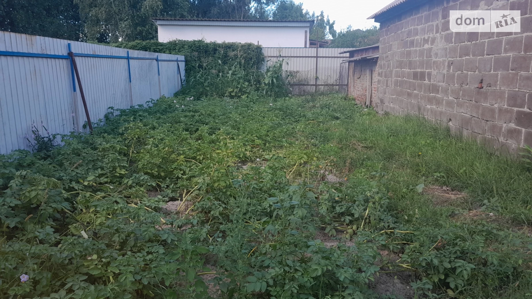 Продается одноэтажный дом 70 кв. м с мебелью, цена: 35000 $ - фото 3