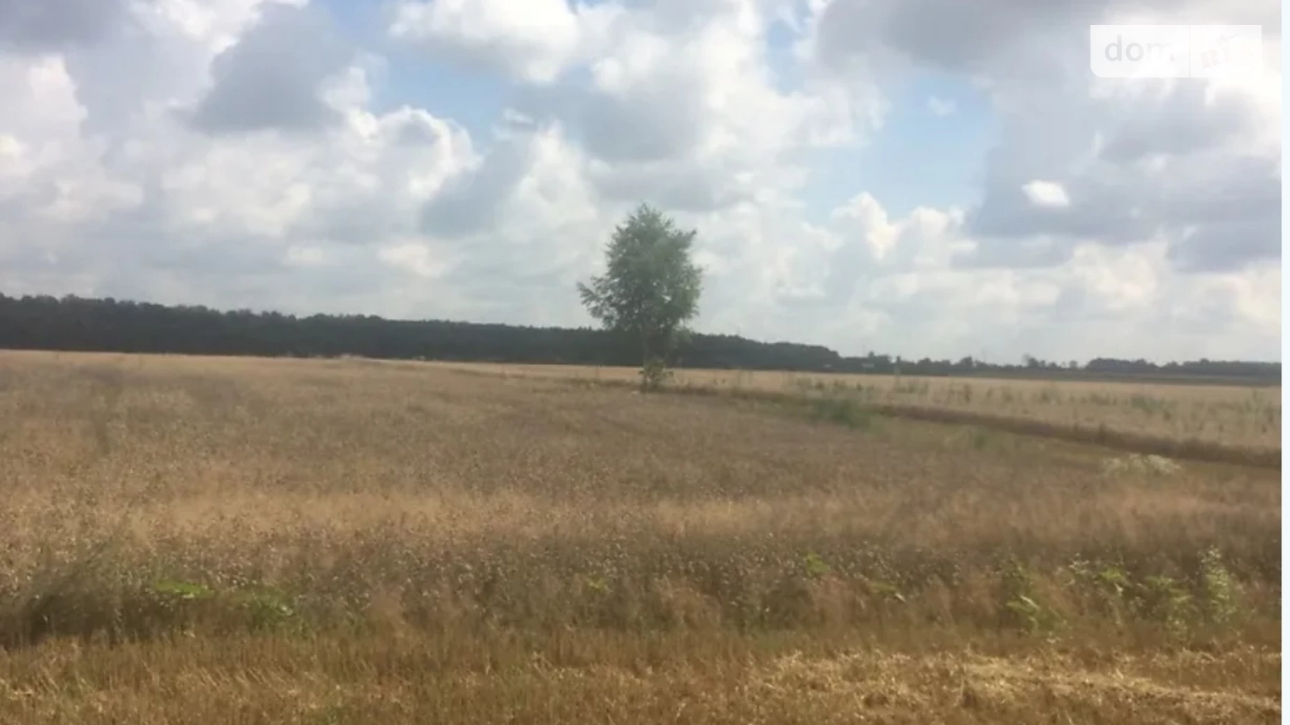 Лука-Мелешківська, цена: 25000 $ - фото 5