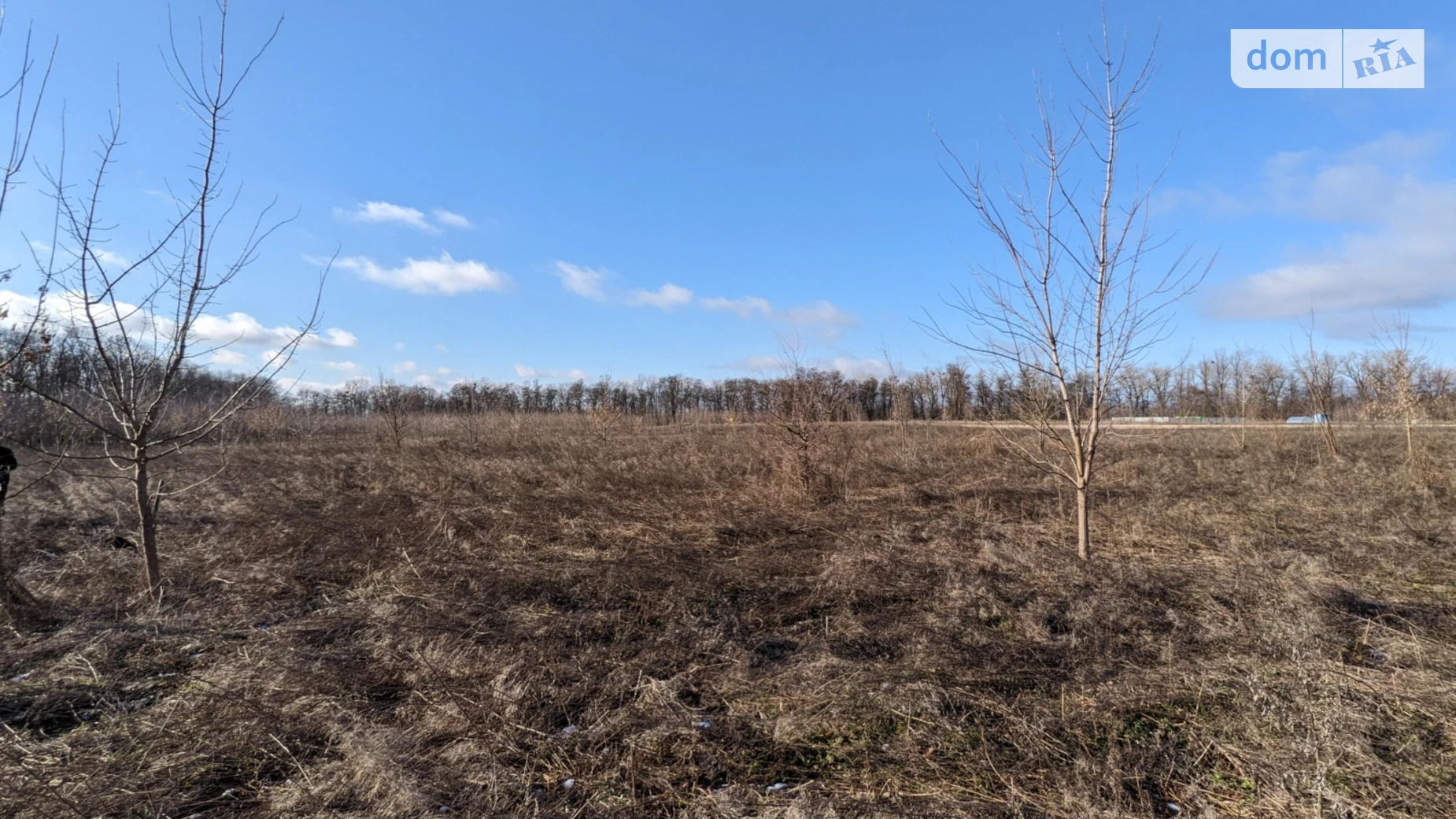 Гниванское шоссе Бохоники, цена: 15000 $ - фото 2