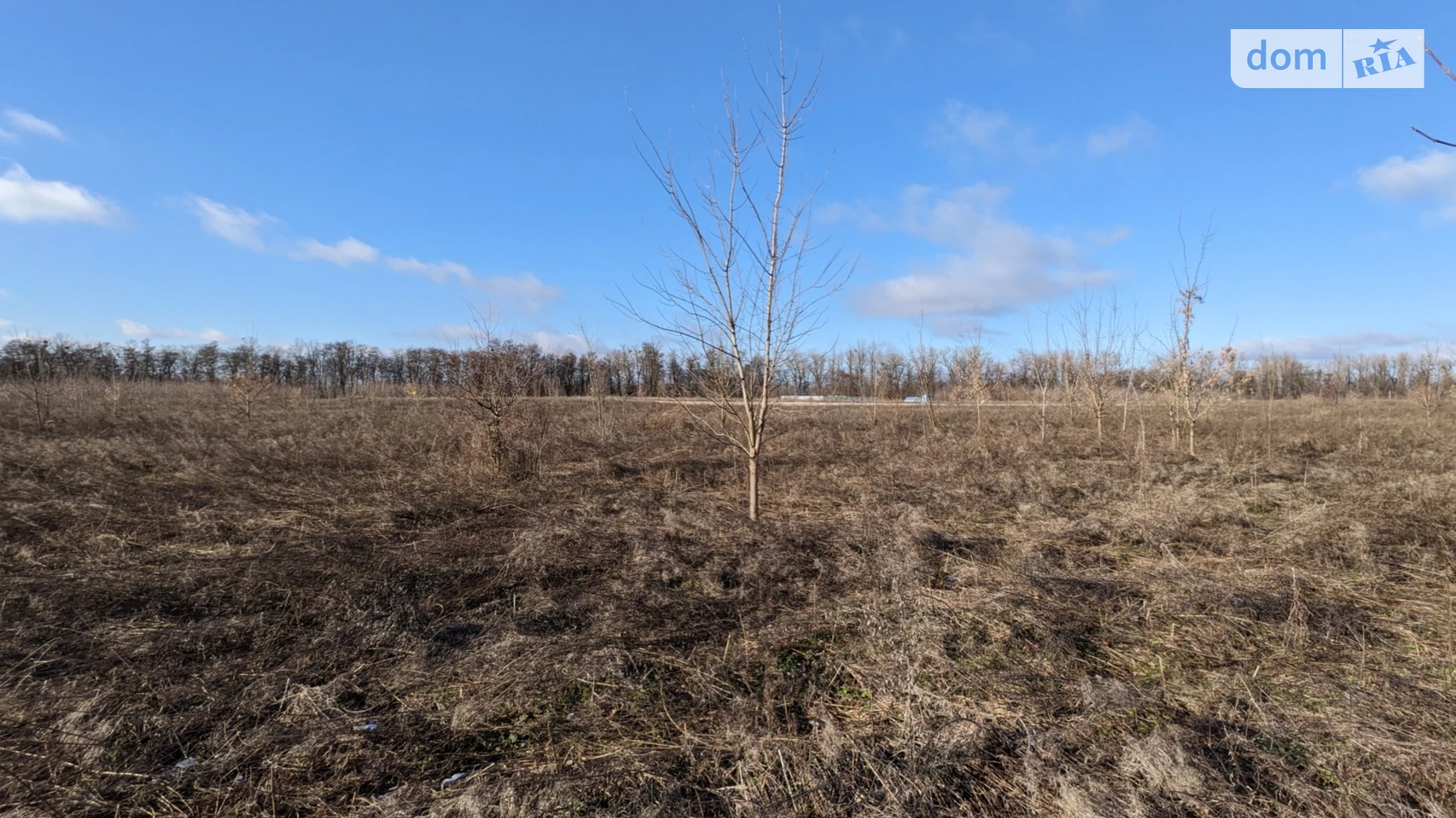 Гниванское шоссе Бохоники, цена: 15000 $ - фото 3