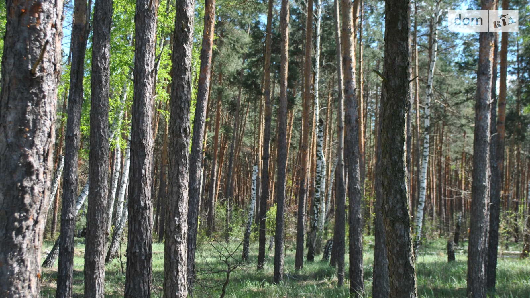 Продається земельна ділянка 7.77 соток у Київській області, цена: 13000 $ - фото 3