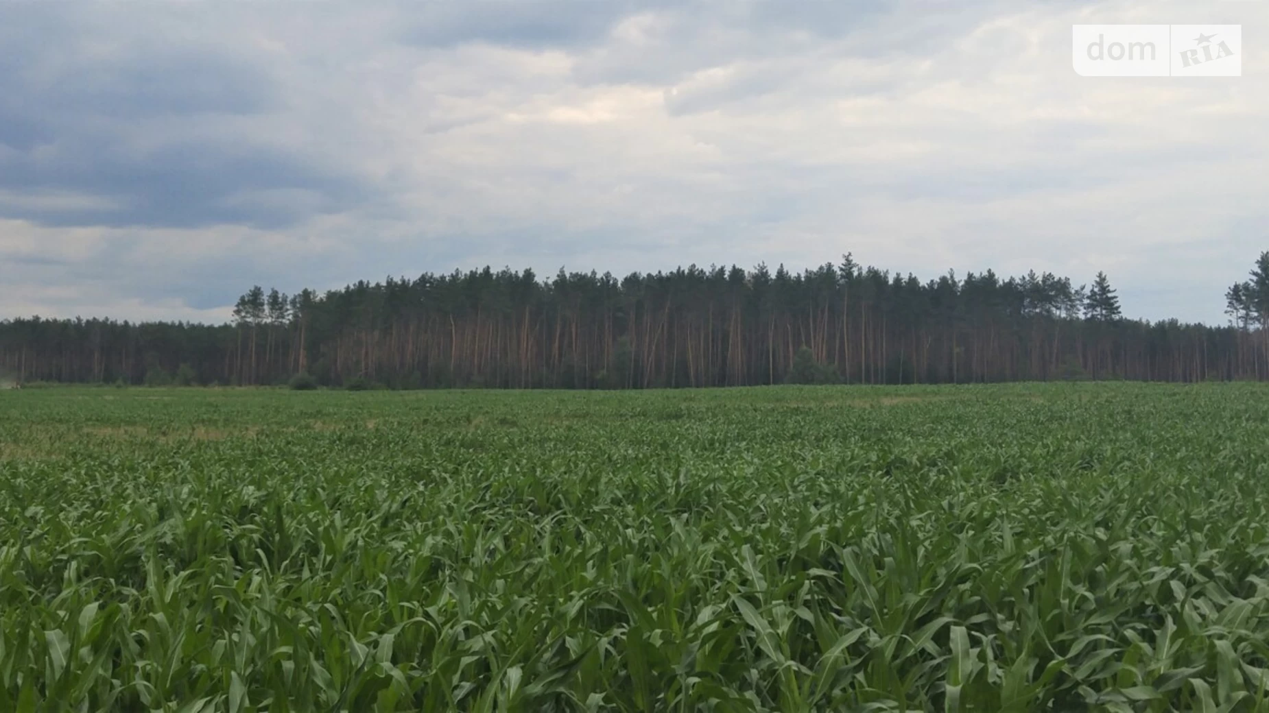 Продається земельна ділянка 18 соток у Київській області, цена: 140000 $ - фото 4
