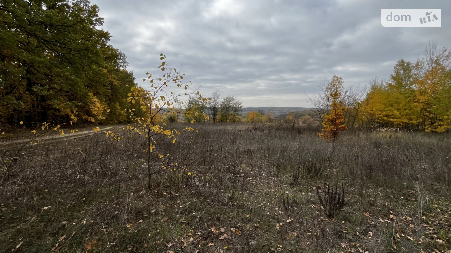 ул. Леси Украинки Балаклея, цена: 1500 $ - фото 3