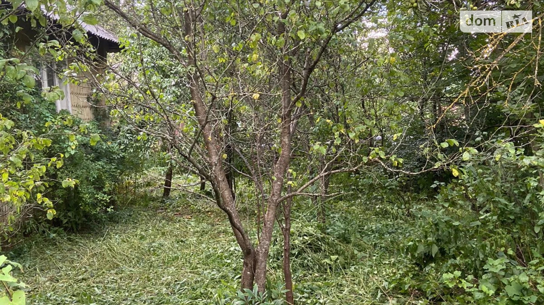 Продается одноэтажный дом 67 кв. м с мансардой, цена: 22000 $ - фото 5