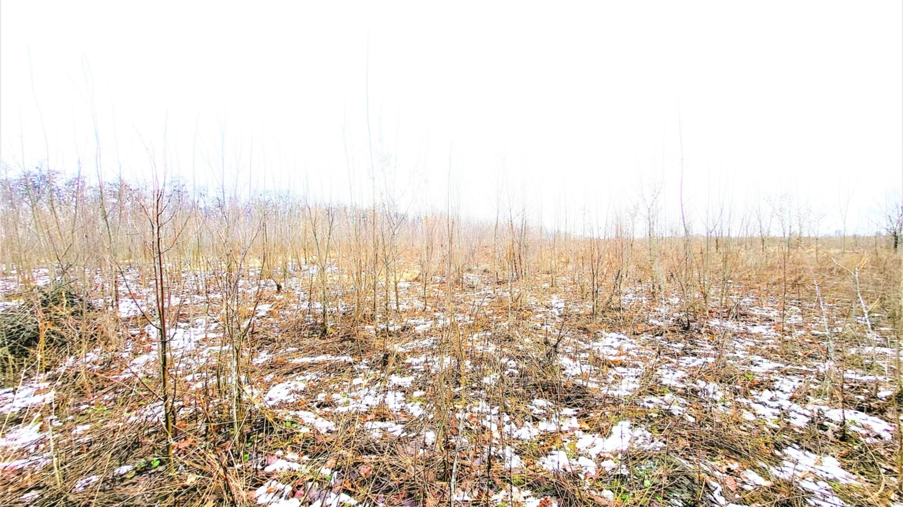 Продається земельна ділянка 8 соток у Вінницькій області, цена: 12500 $ - фото 5