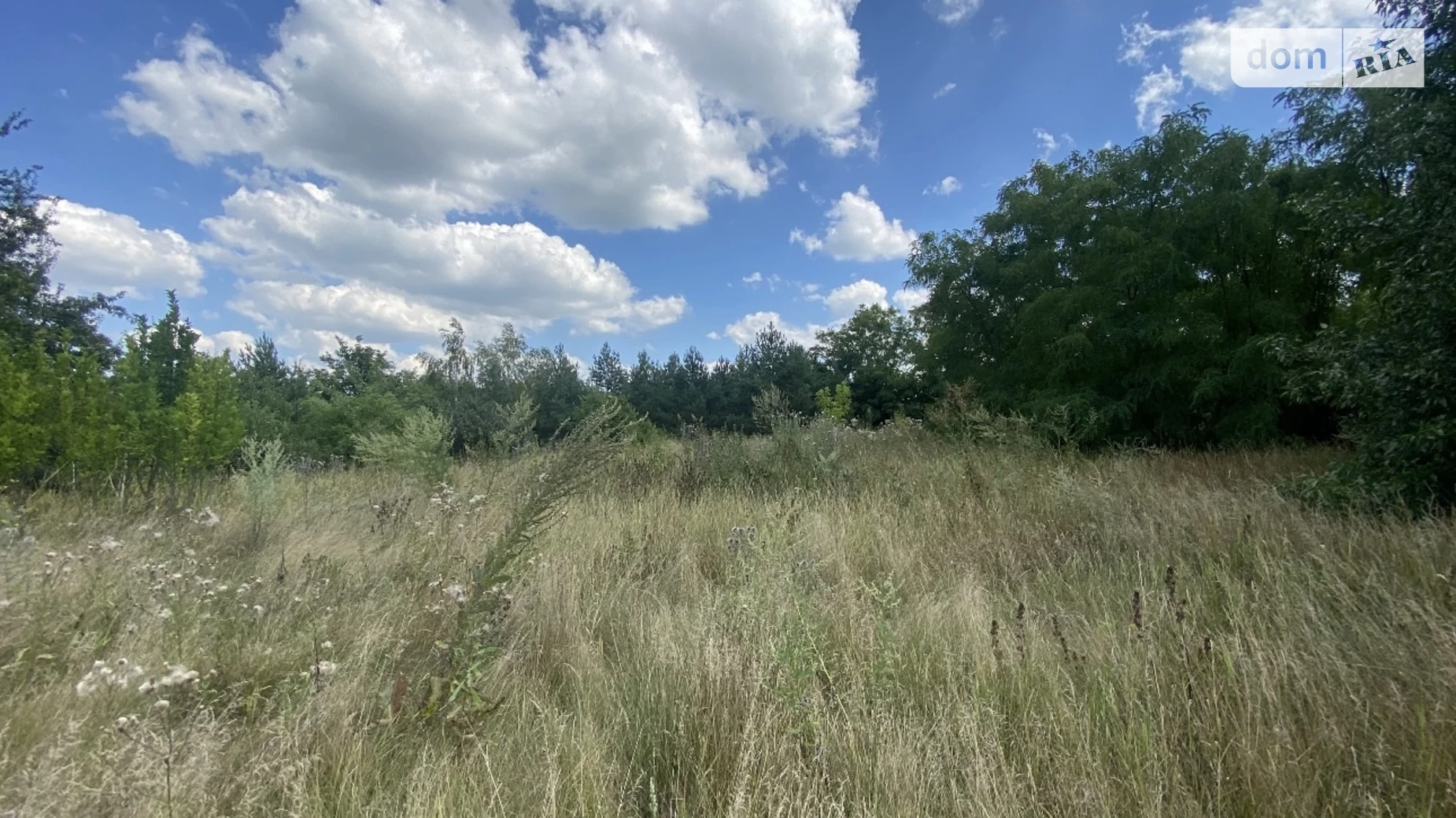 Продається земельна ділянка 80 соток у Вінницькій області, цена: 39000 $ - фото 2