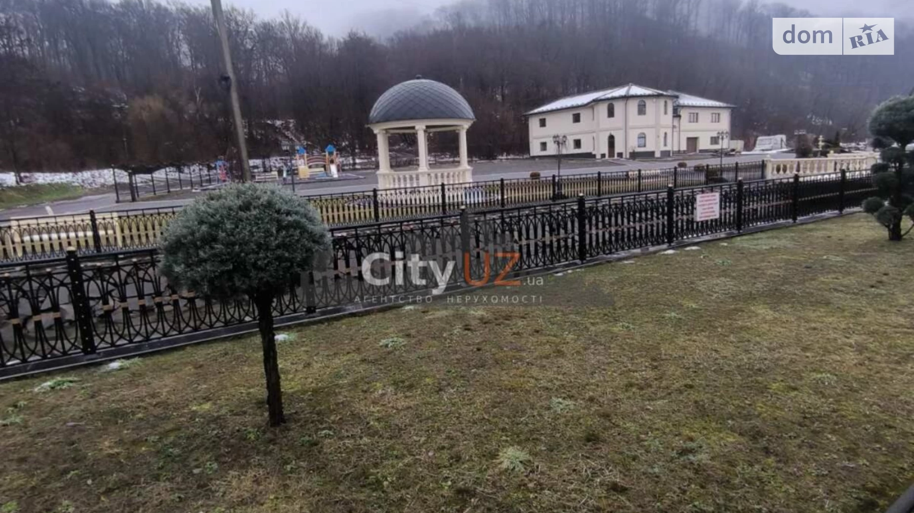 вулиця Центральна Пасека, цена: 2500000 $ - фото 3