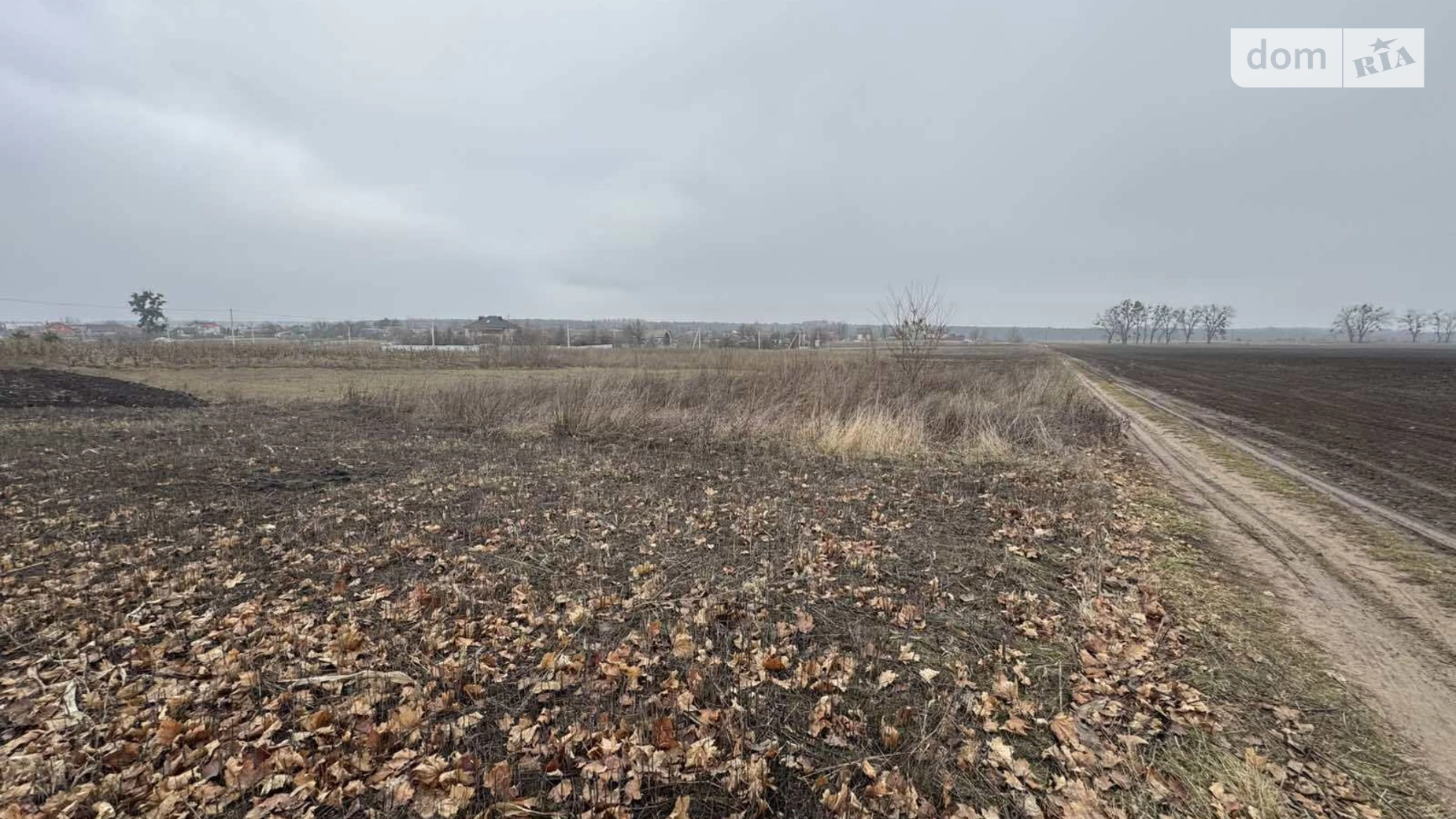 вул. Кобзарська Стрижавка, цена: 6000 $ - фото 2