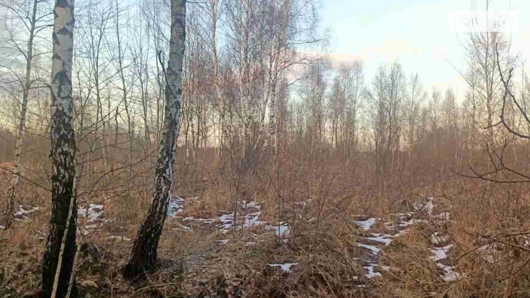 Продается земельный участок 7.7 соток в Львовской области, цена: 27000 $ - фото 2