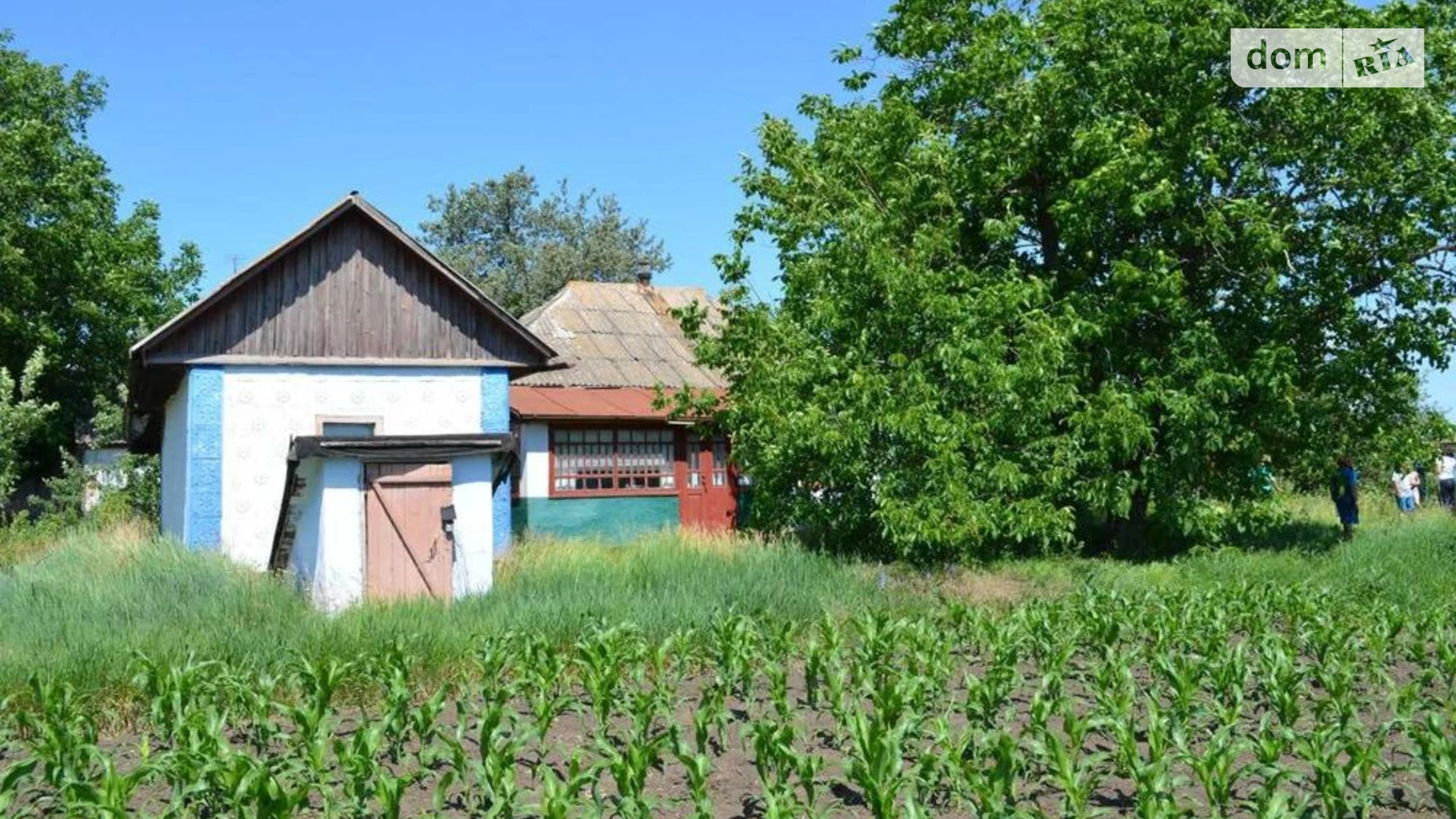 вул. Базарна Могильное, цена: 50000 грн - фото 3