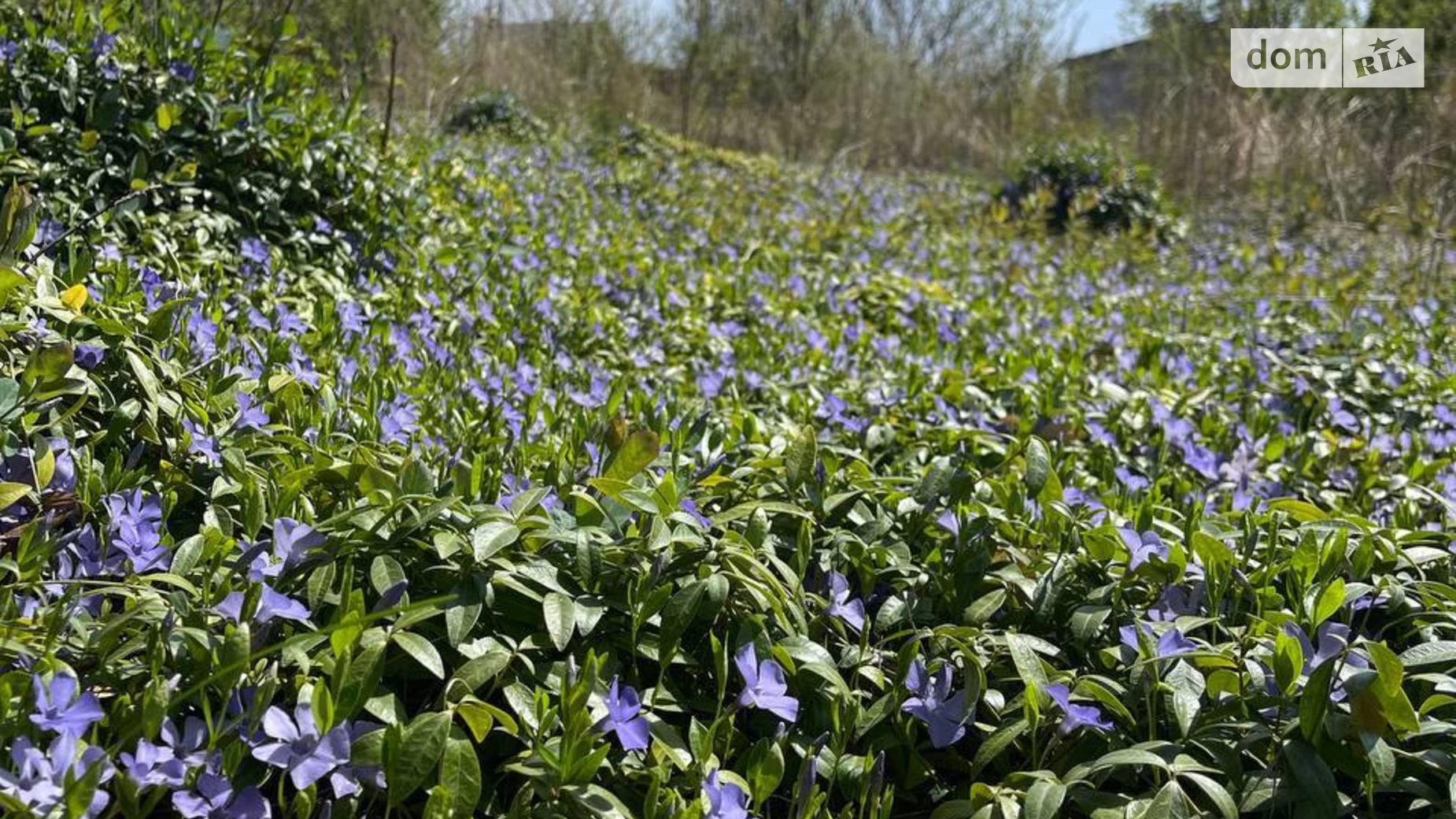 Продається земельна ділянка 6 соток у Тернопільській області, цена: 7000 $ - фото 2