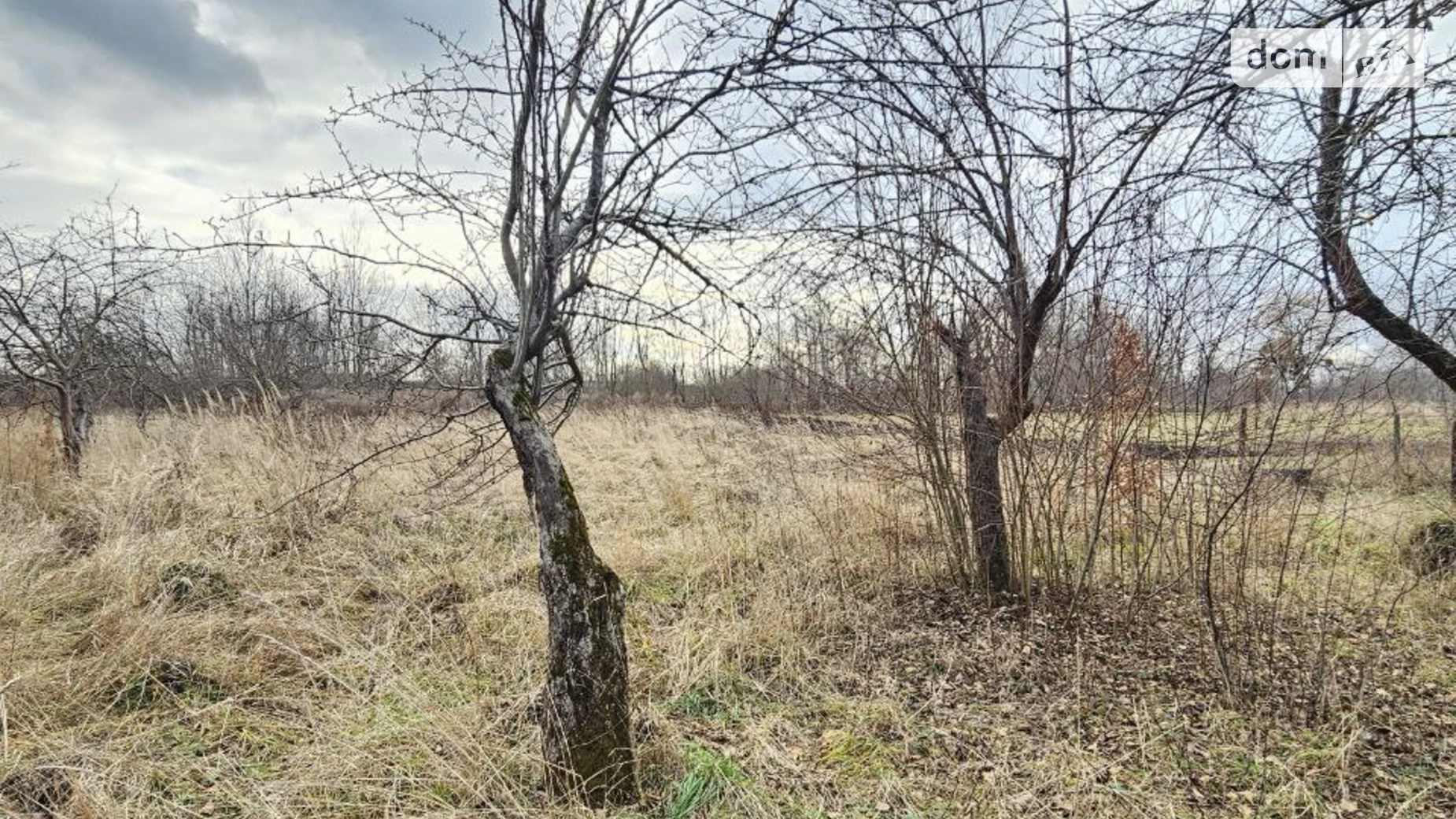Продається одноповерховий будинок 61.5 кв. м з подвалом, цена: 49000 $ - фото 4