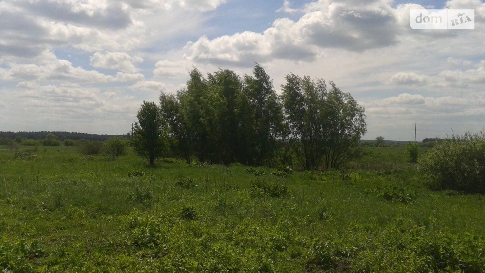 Продается земельный участок 15.48 соток в Киевской области, цена: 10000 $ - фото 5