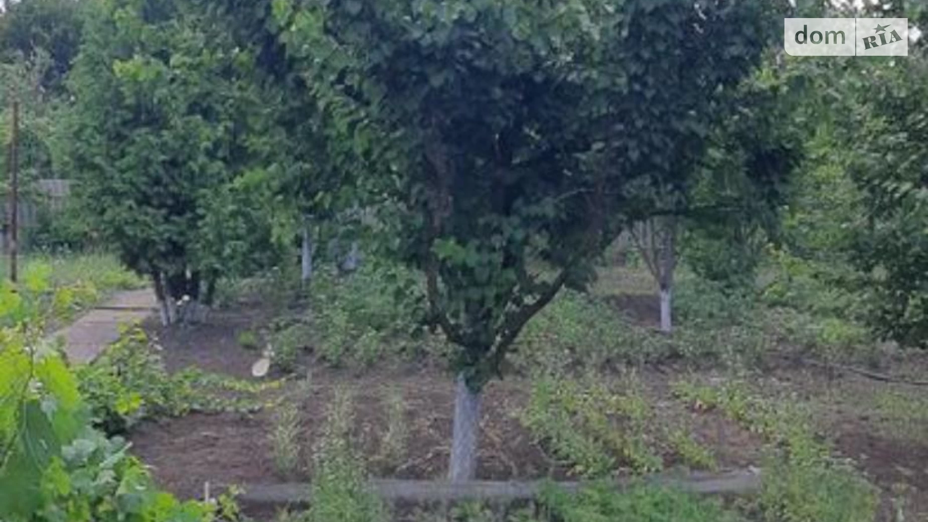 Продається одноповерховий будинок 18 кв. м з гаражем, цена: 3500 $ - фото 3