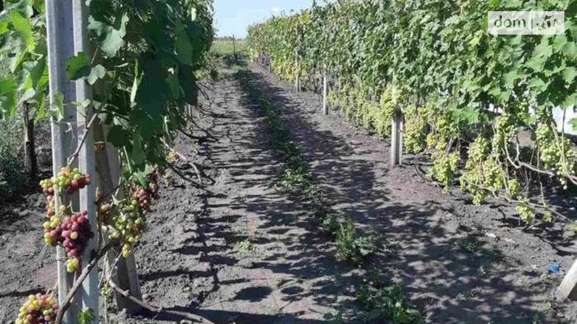 Продается 2-комнатная квартира 46.9 кв. м в, цена: 10000 $ - фото 2