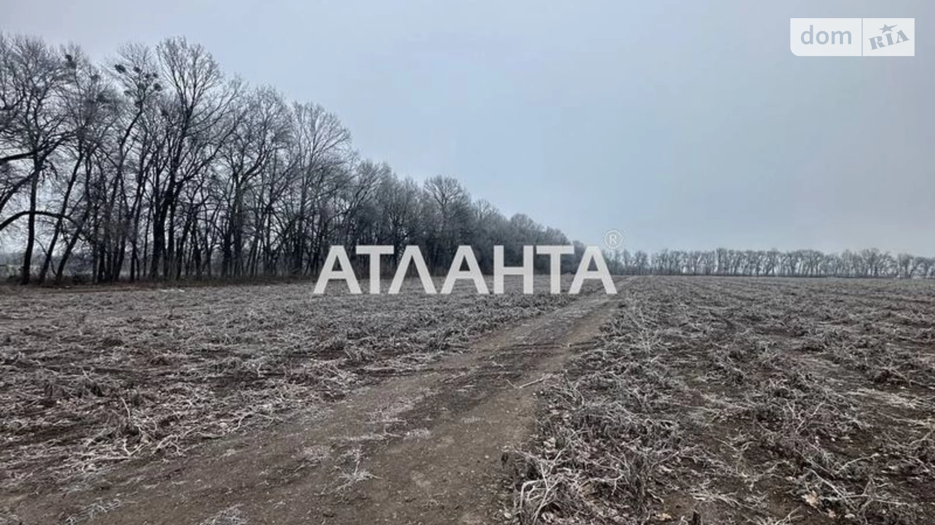 Продается земельный участок 141 соток в Винницкой области, цена: 215000 $ - фото 5