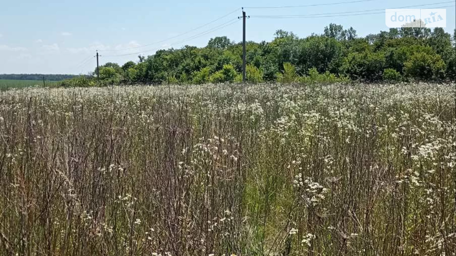 Продається земельна ділянка 0.1 соток у Тернопільській області, цена: 4000 $ - фото 5