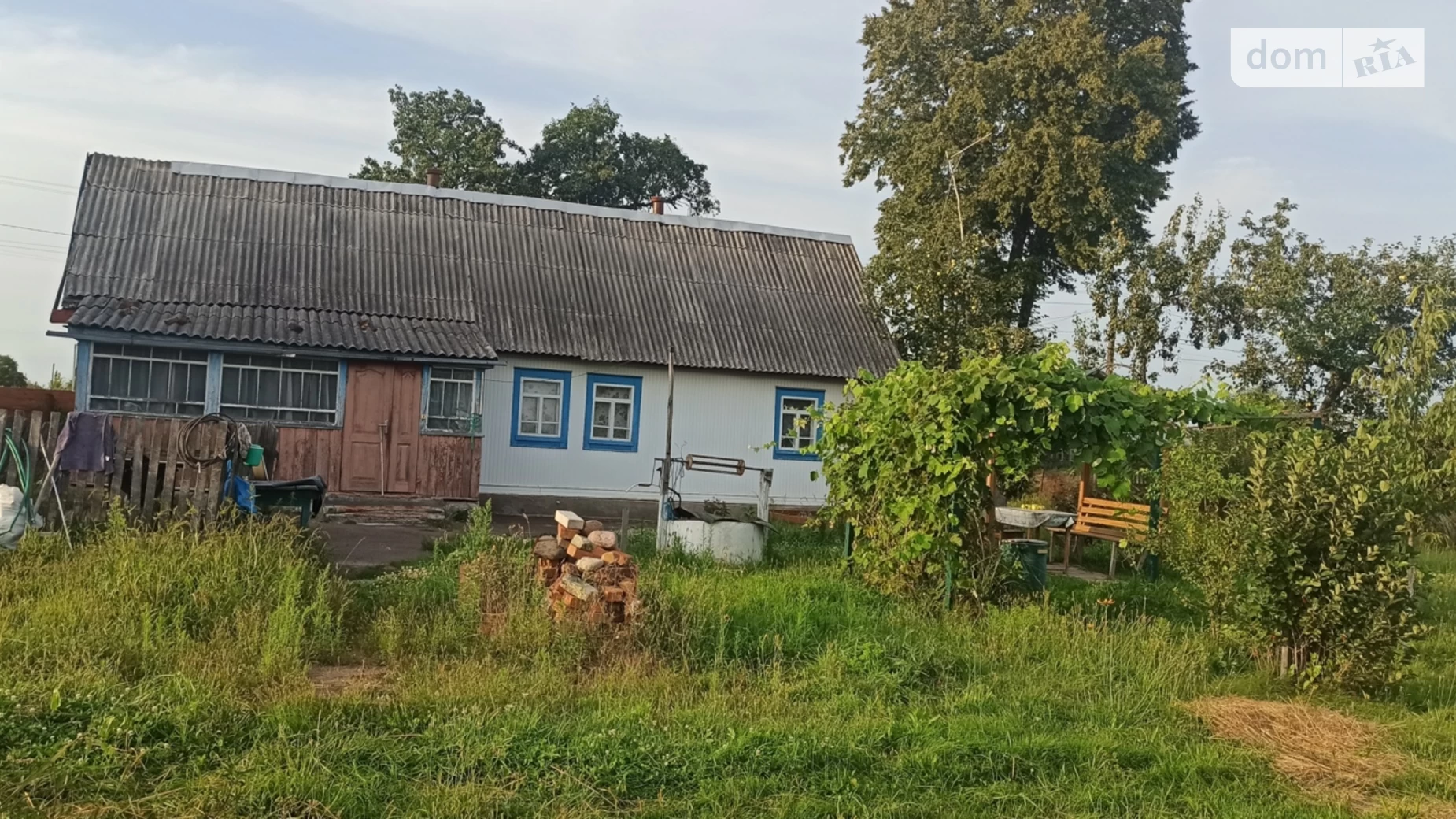 Лесовщина (Коростень), цена: 280000 грн - фото 2