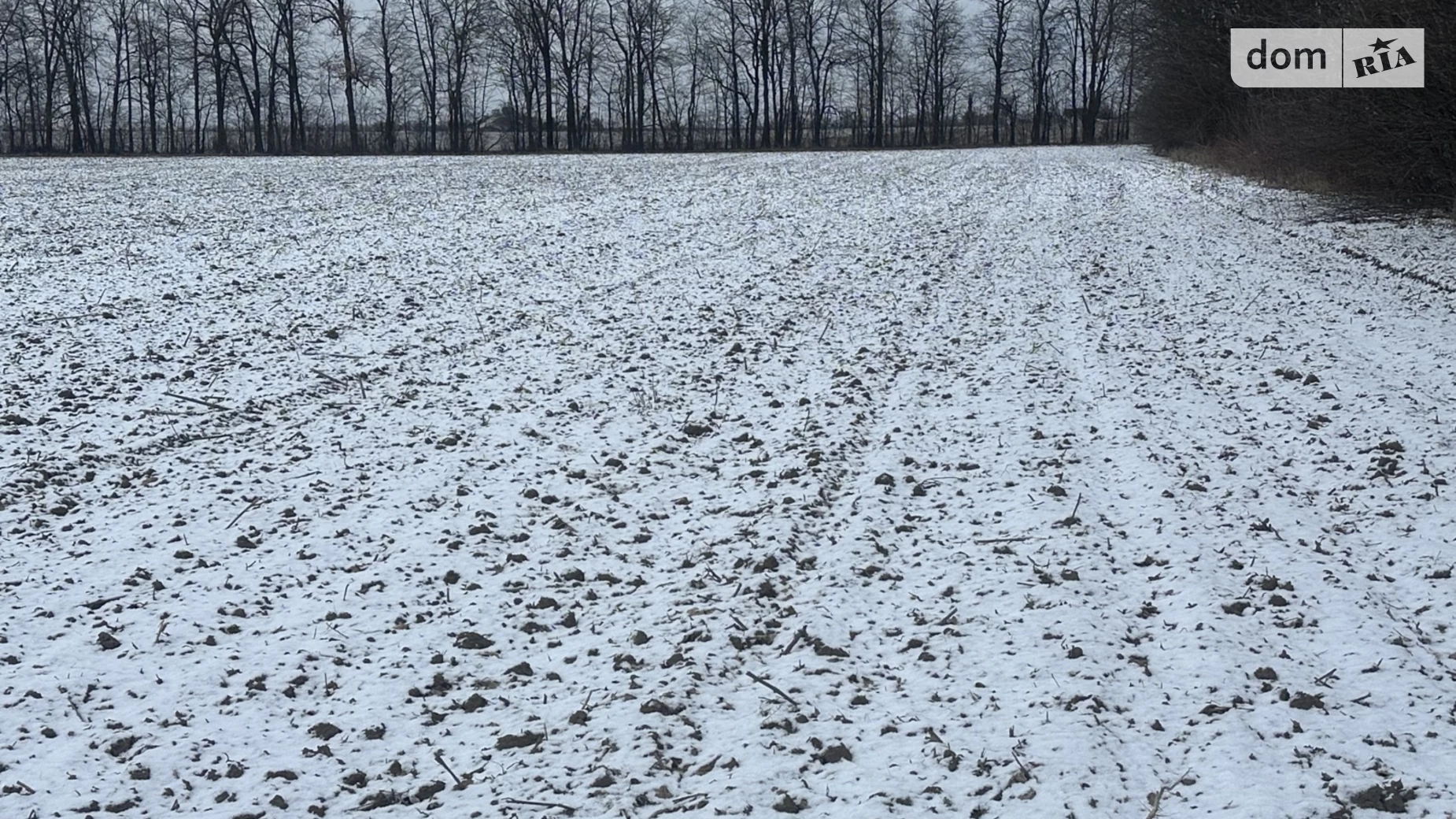 Горбановка, цена: 50000 $ - фото 5