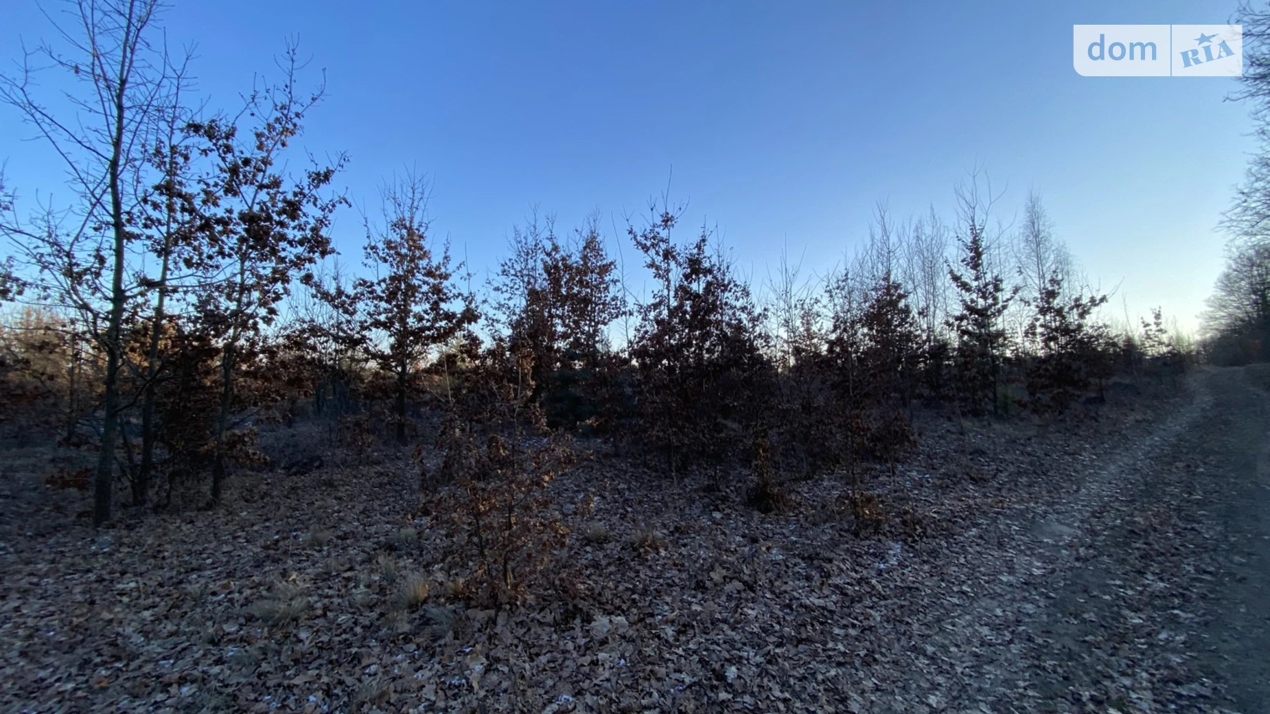 Якушинці, цена: 4800 $ - фото 5