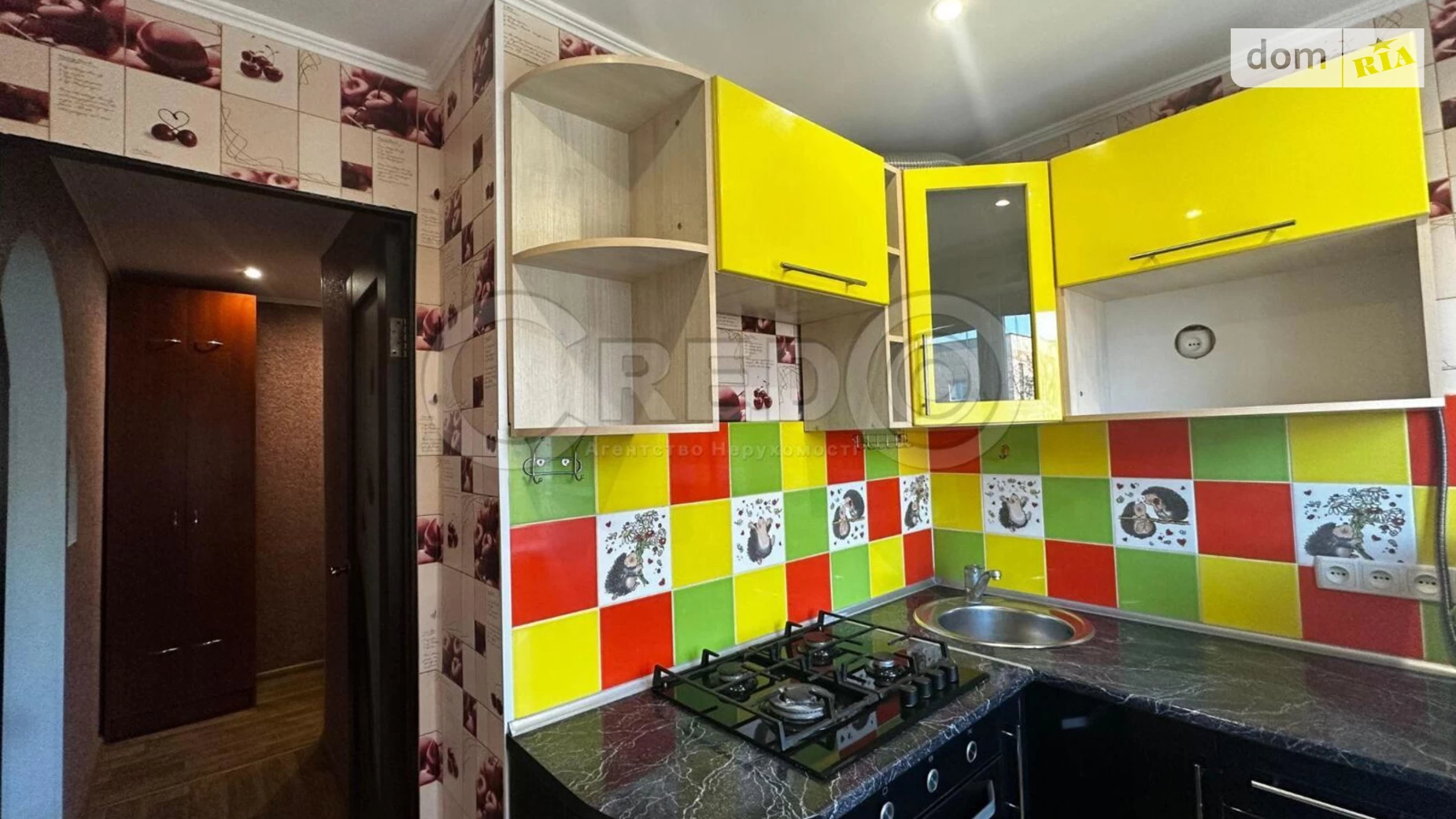 Продается 1-комнатная квартира 30.9 кв. м в Кривом Роге, ул. Армавирская(Джона Маккейна) - фото 2